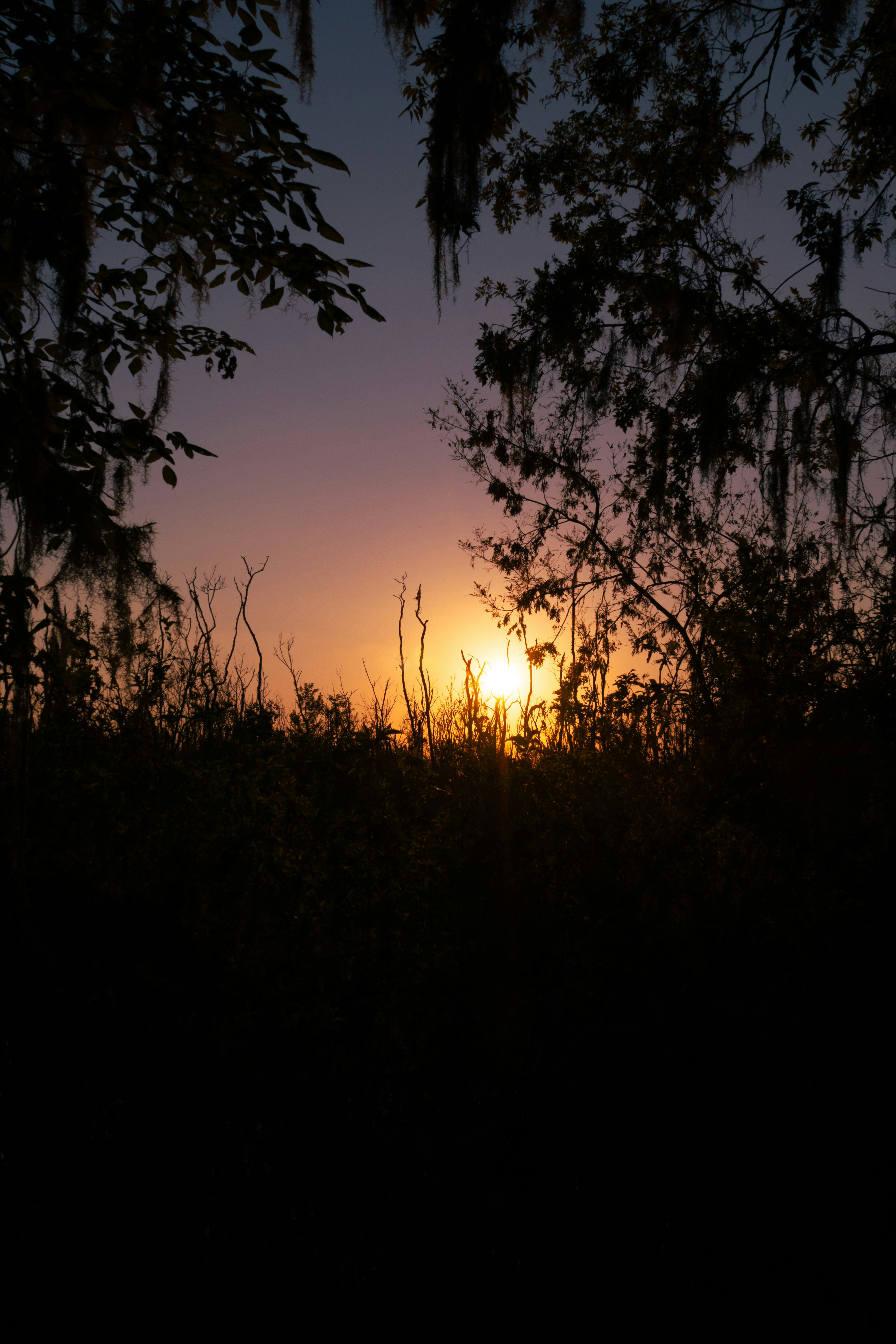 Photo by thecameraguy_2004