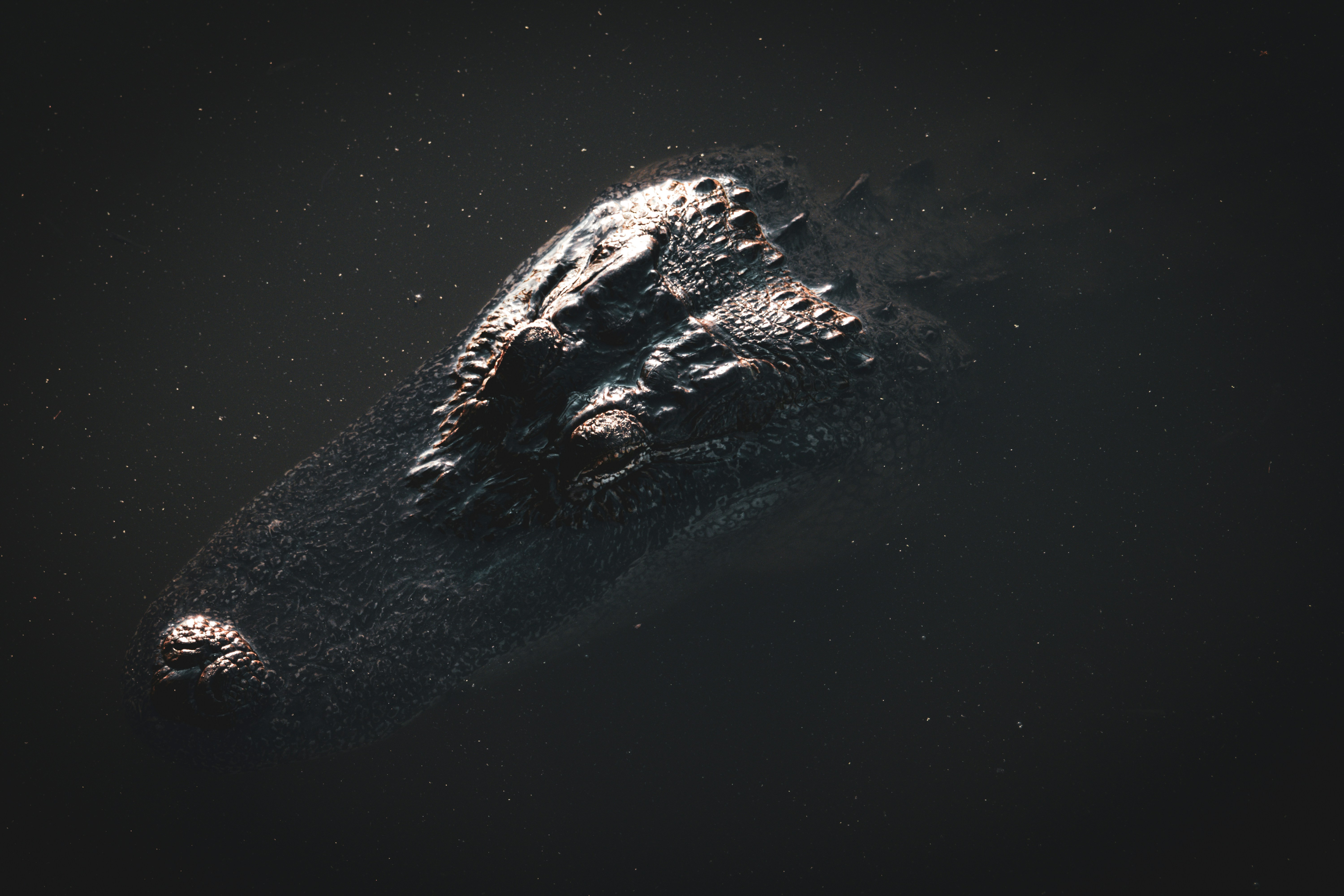 An image of an object in the dark