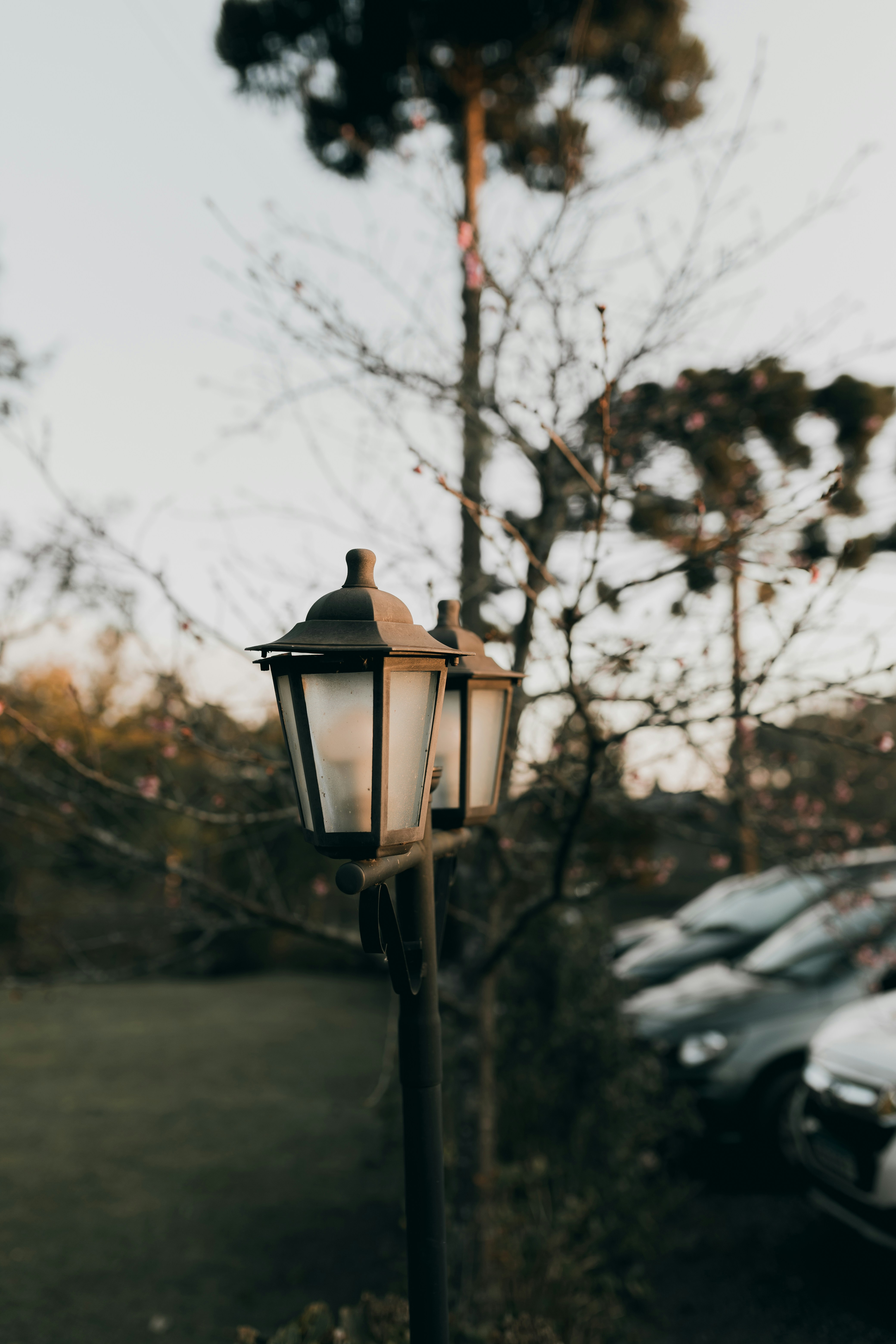 A street light sitting next to a parking lot photo – Free Grey Image on ...