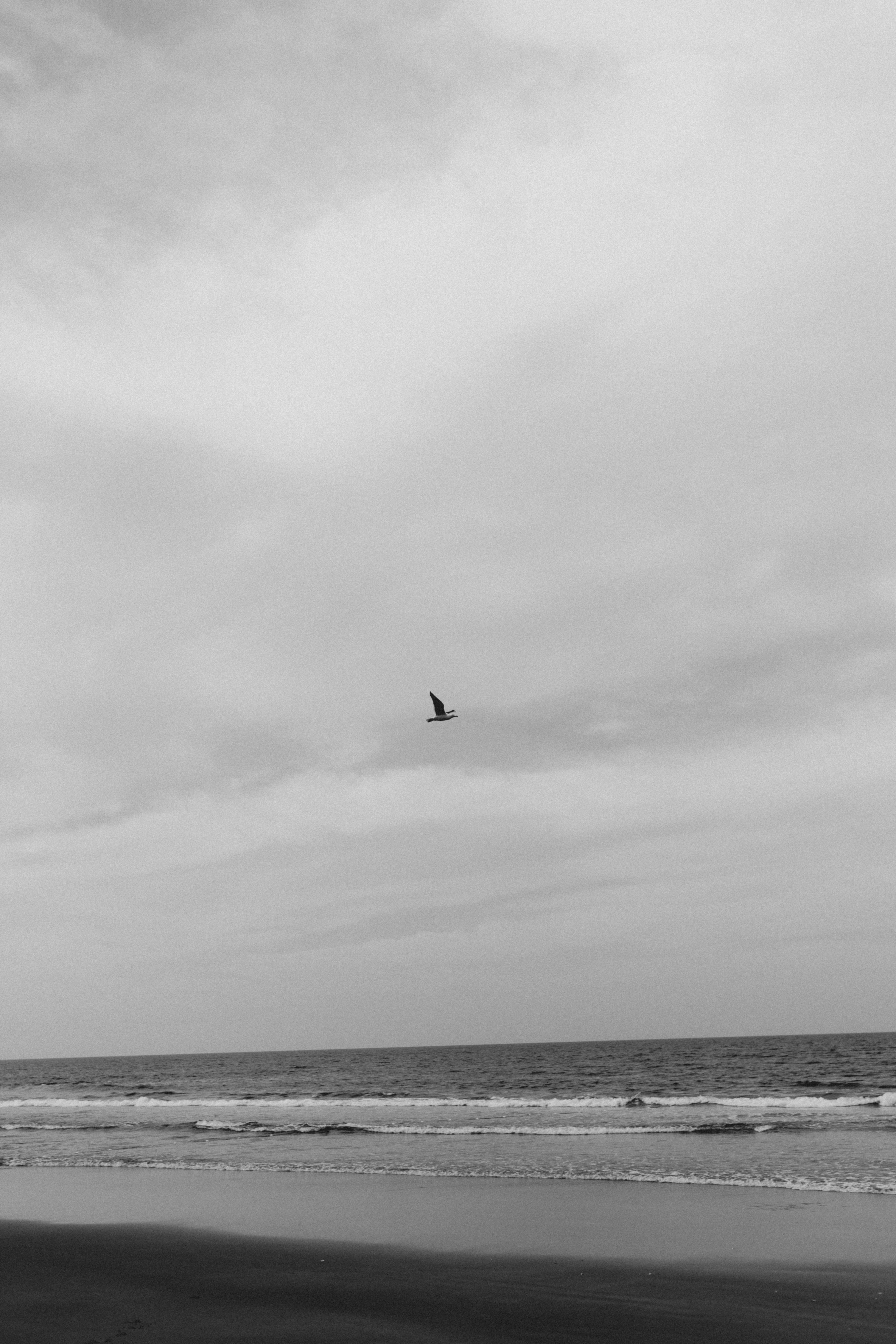 Photo by alexandermassph