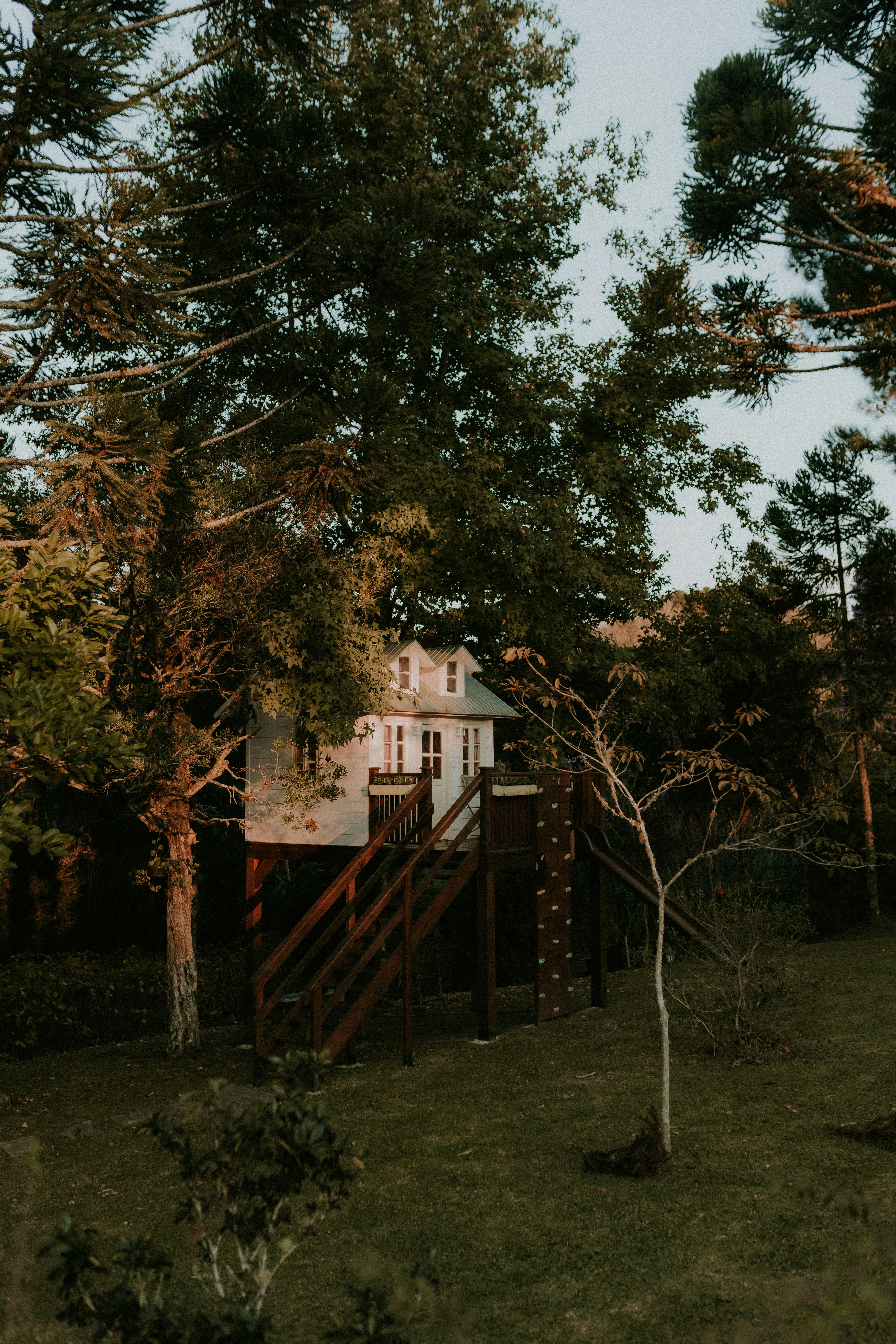 Photo by alexandermassph