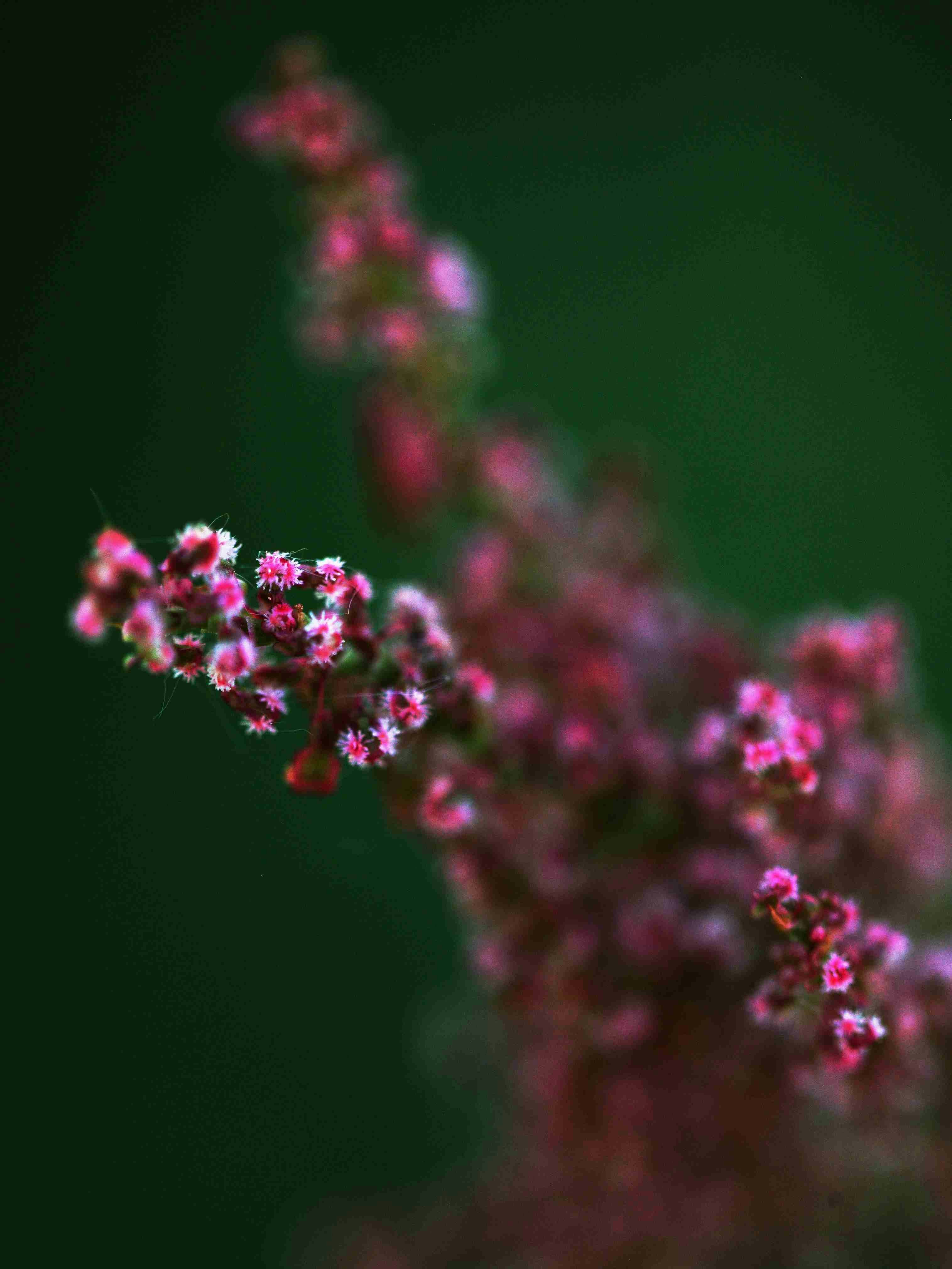 Photo by pinpin_photo