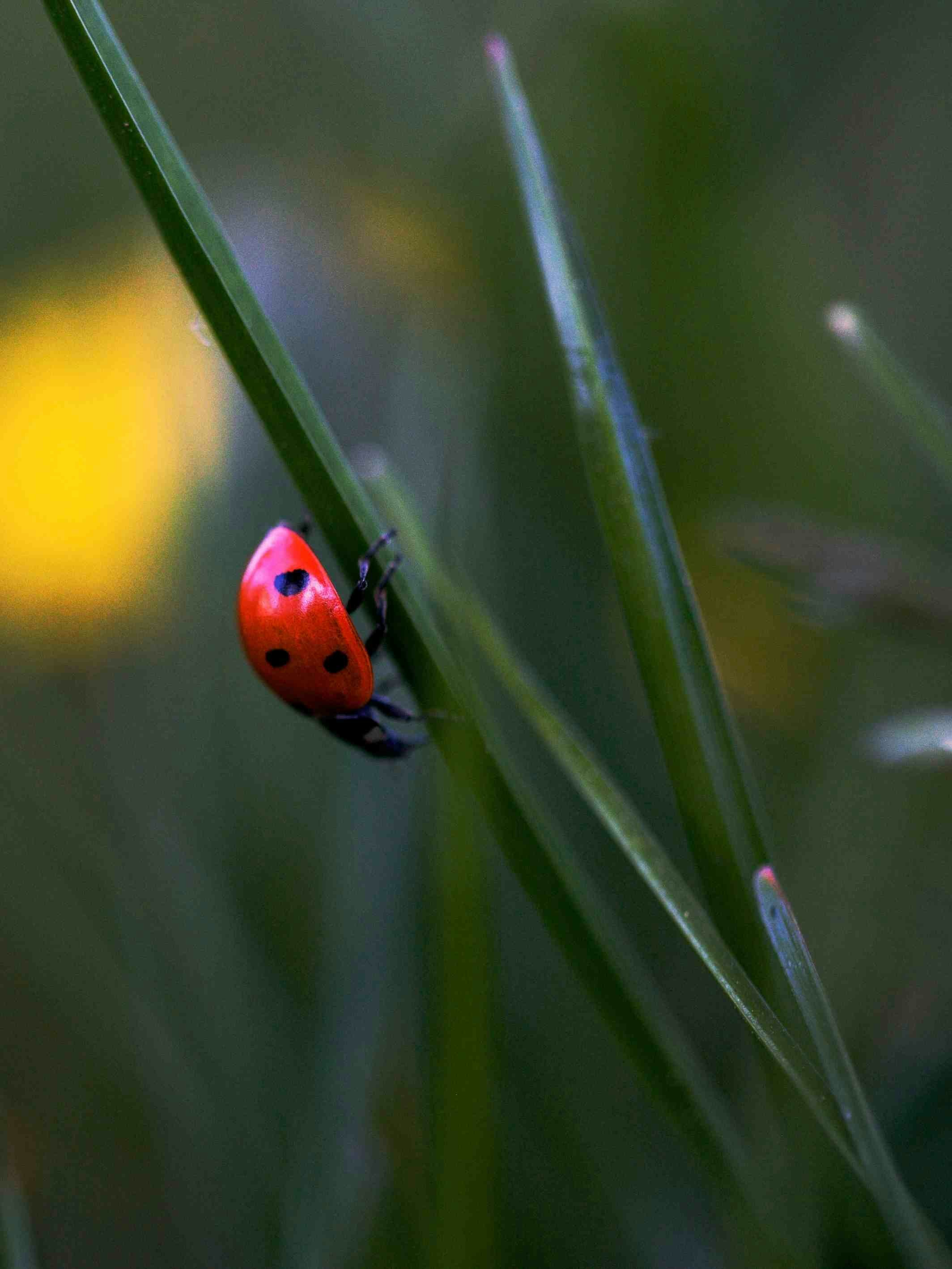 Photo by pinpin_photo