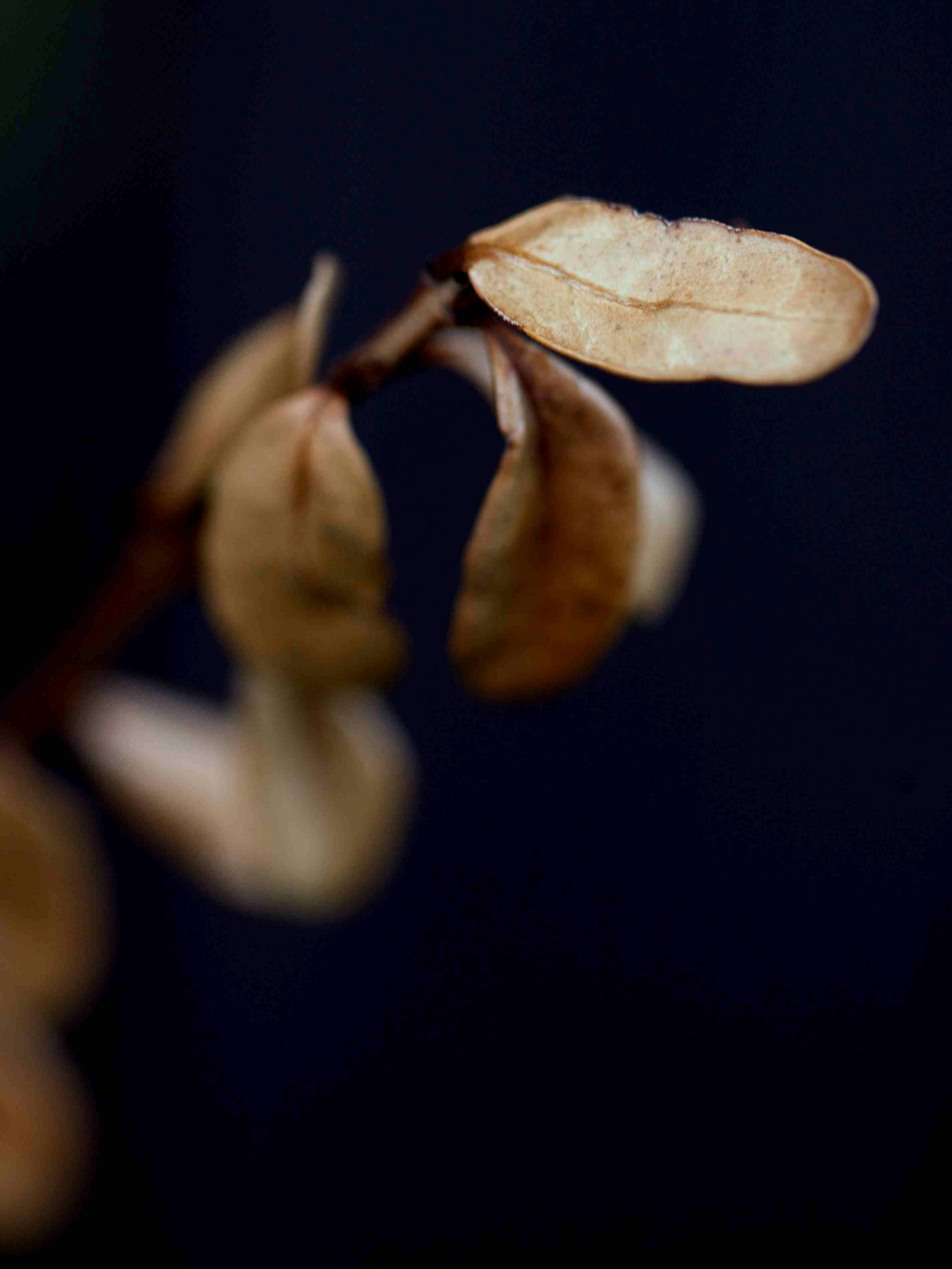 Photo by pinpin_photo