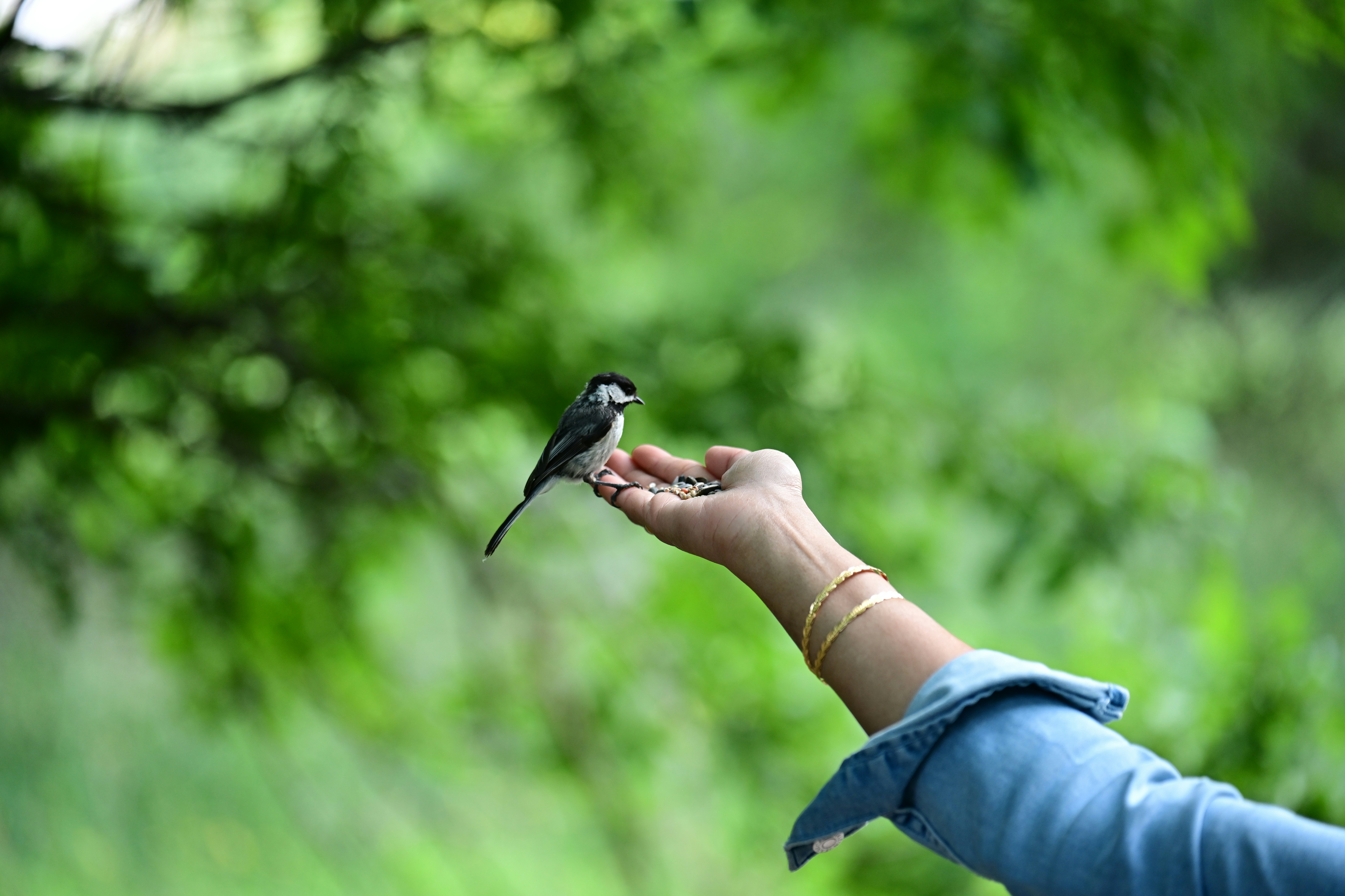 Il confronto sincero e schietto: la chiave per un rapporto autentico tra clienti e consulenti