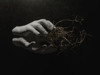 A person holding a bird nest in their hand
