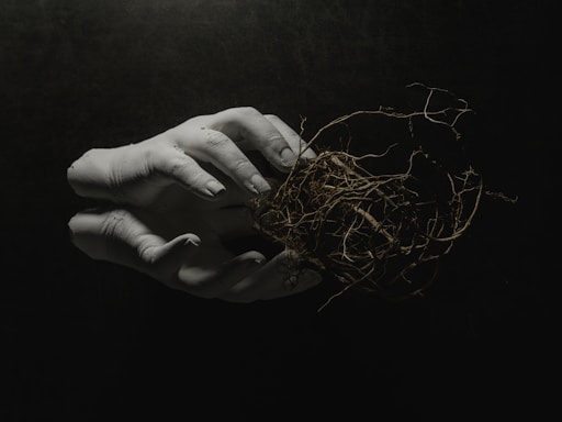 A person holding a bird nest in their hand