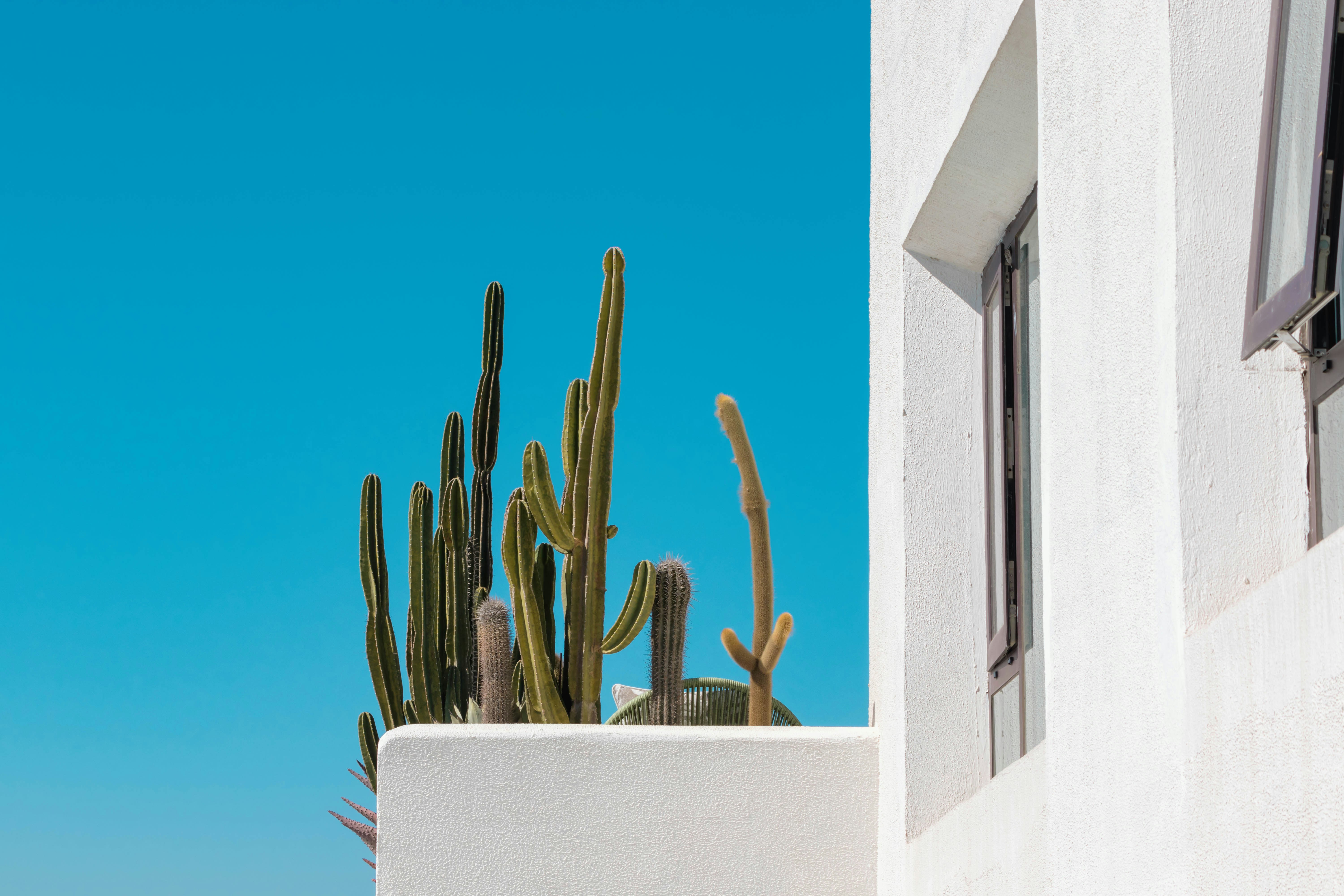 Photo by lizheng_design