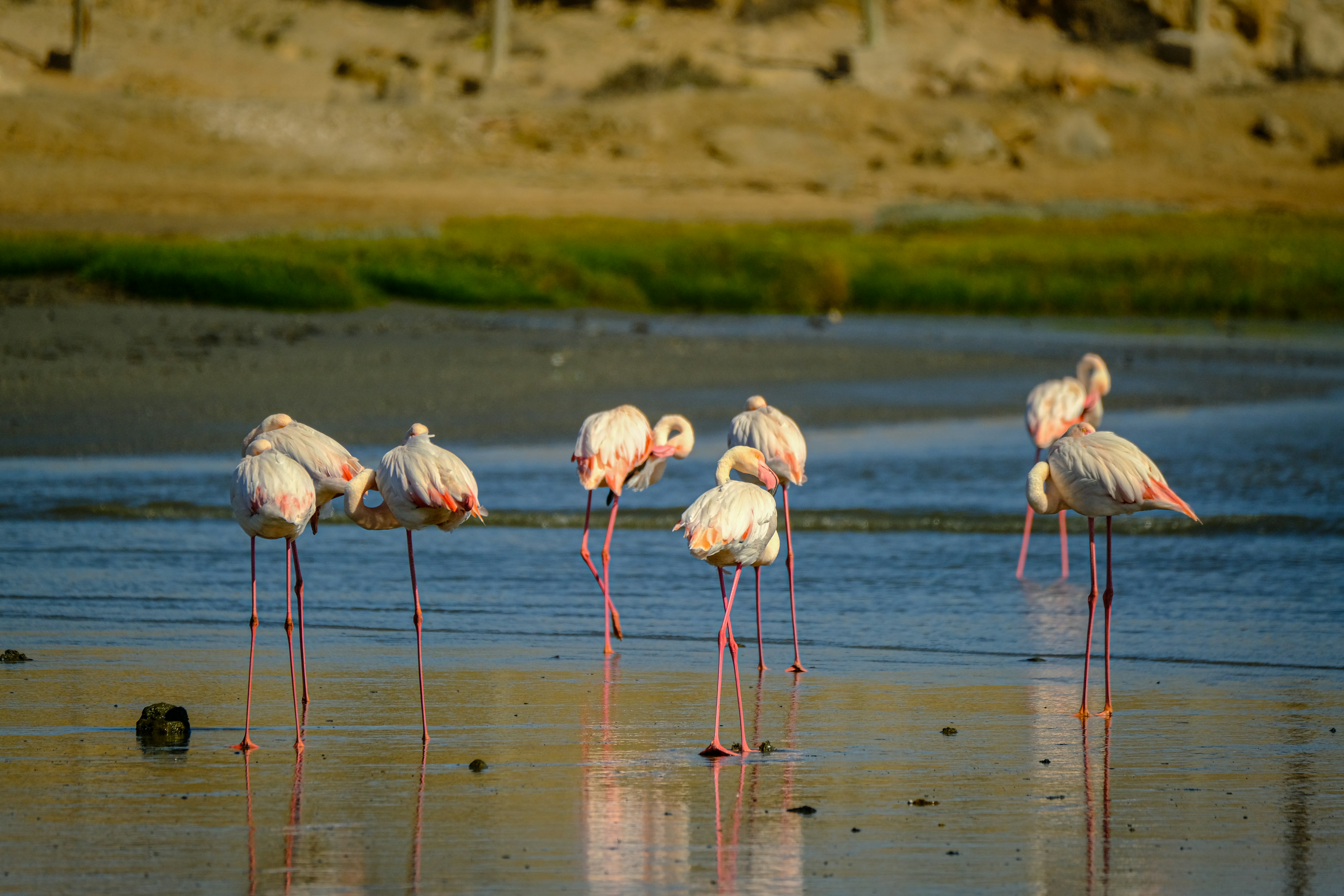 Photo by francesco_ungaro