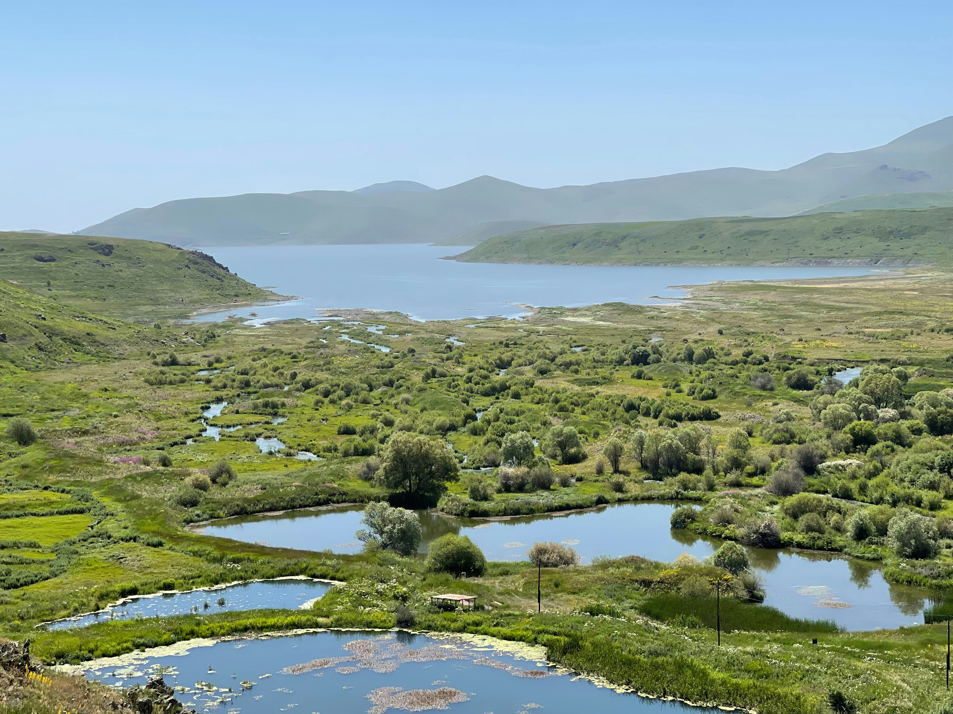 Photo by narekamiryan