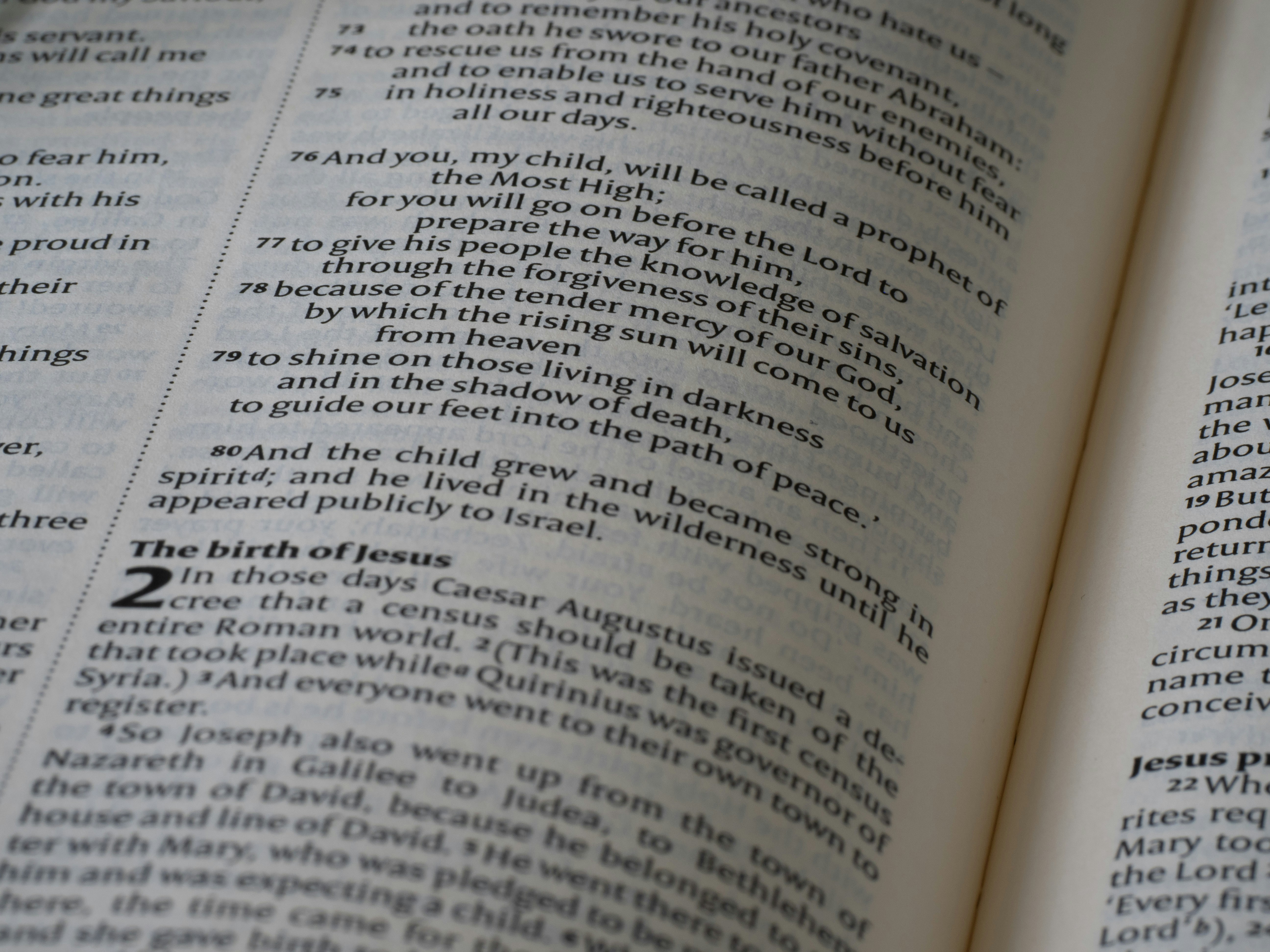 Photo by brett_jordan