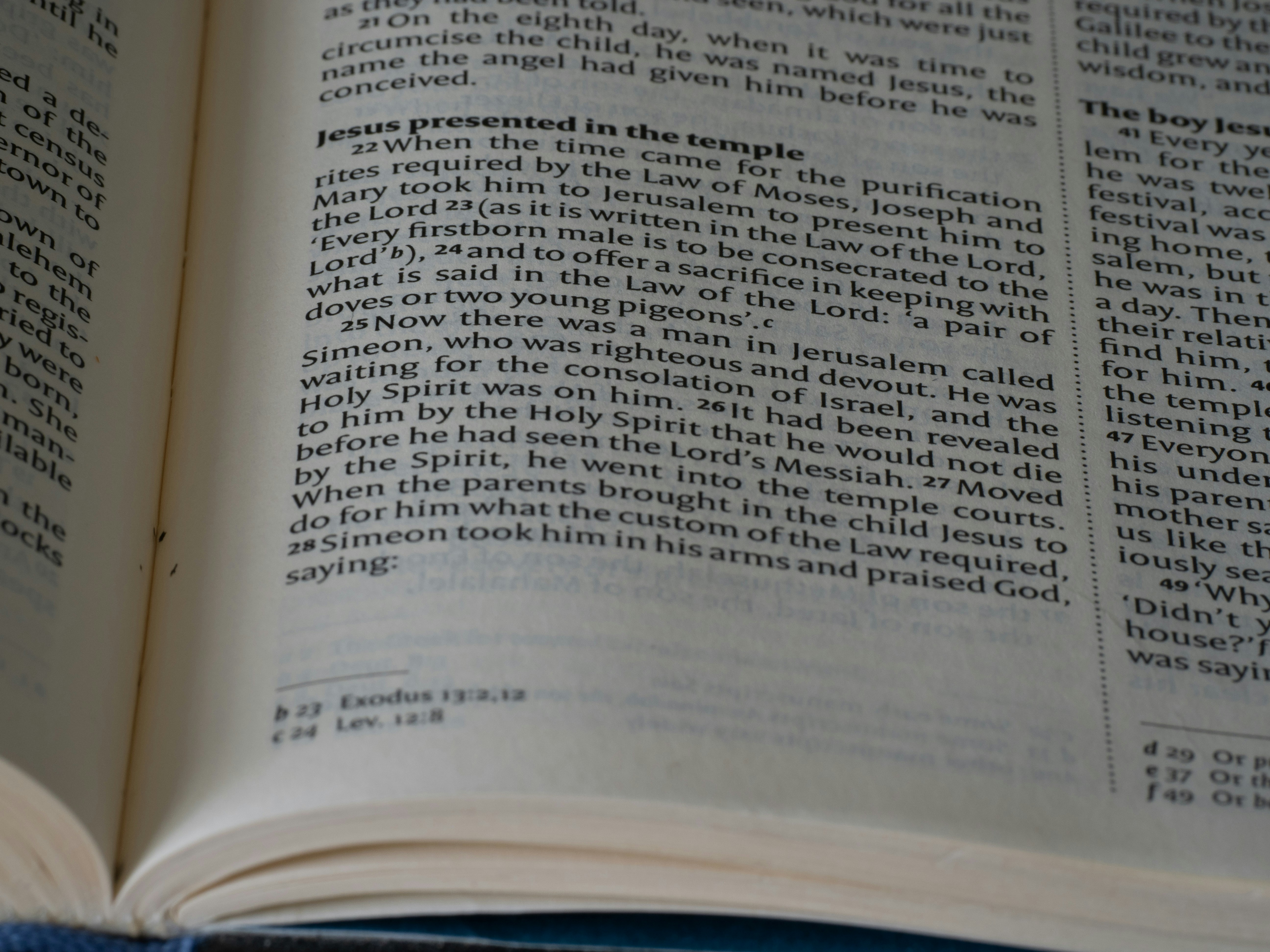 close up, bokeh, bible, new testament, christian, history, text, reading, bible study, devotions, christianity, scripture, Gospel of Luke, Luke, Synoptic Gospel, Gospel,