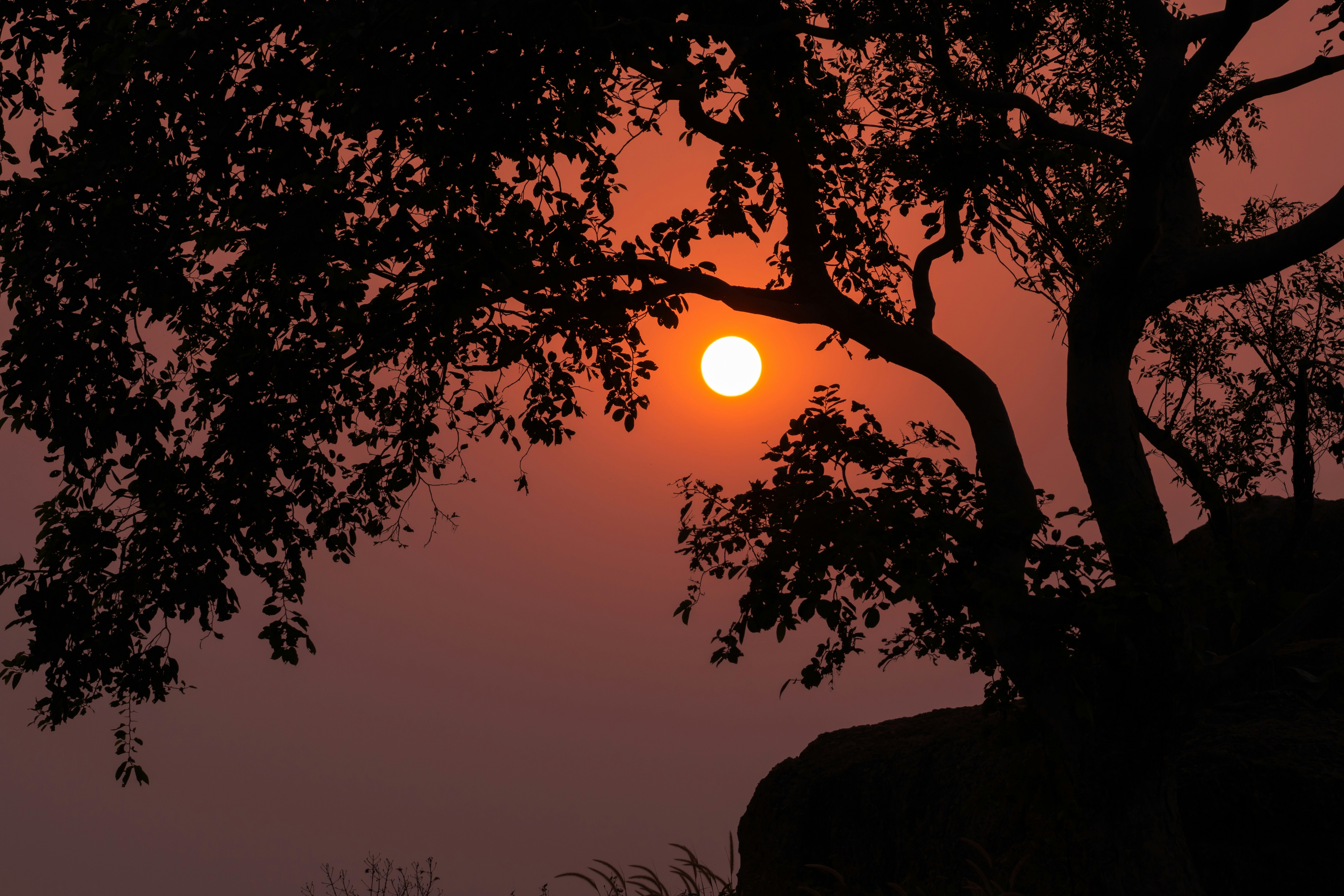 Photo by neerajkpramanik