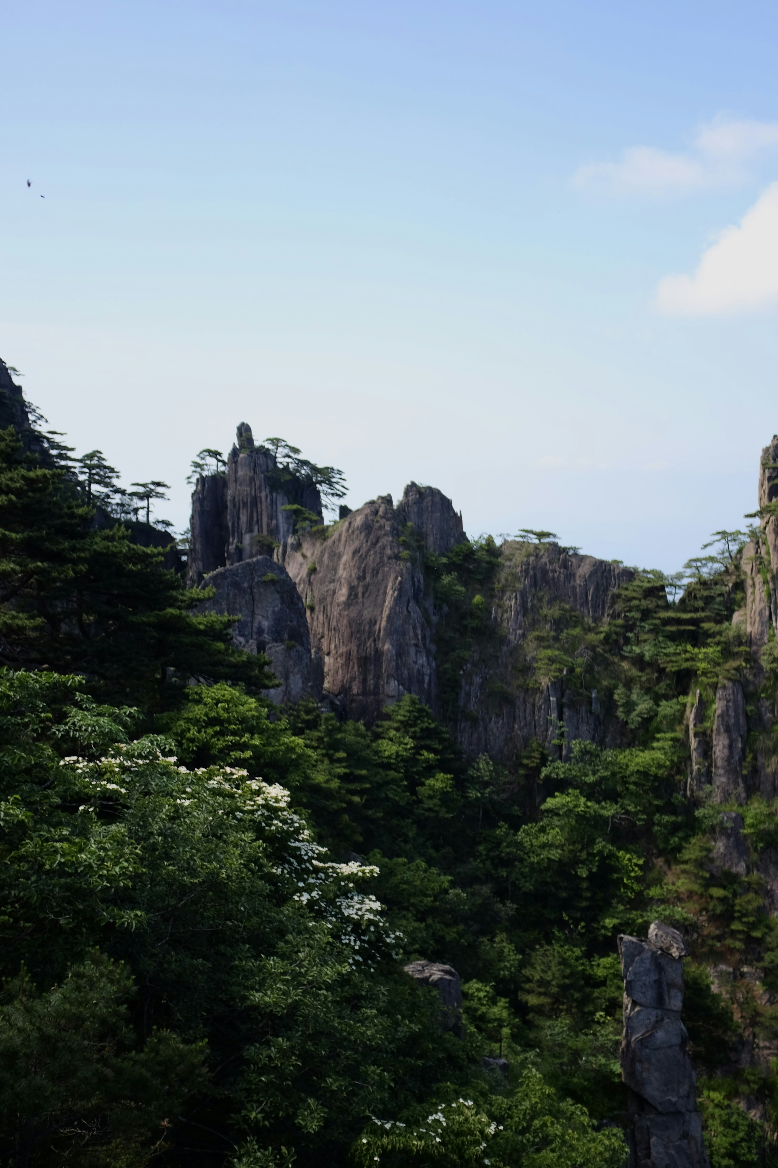 A view of a mountain range with trees and rocks
