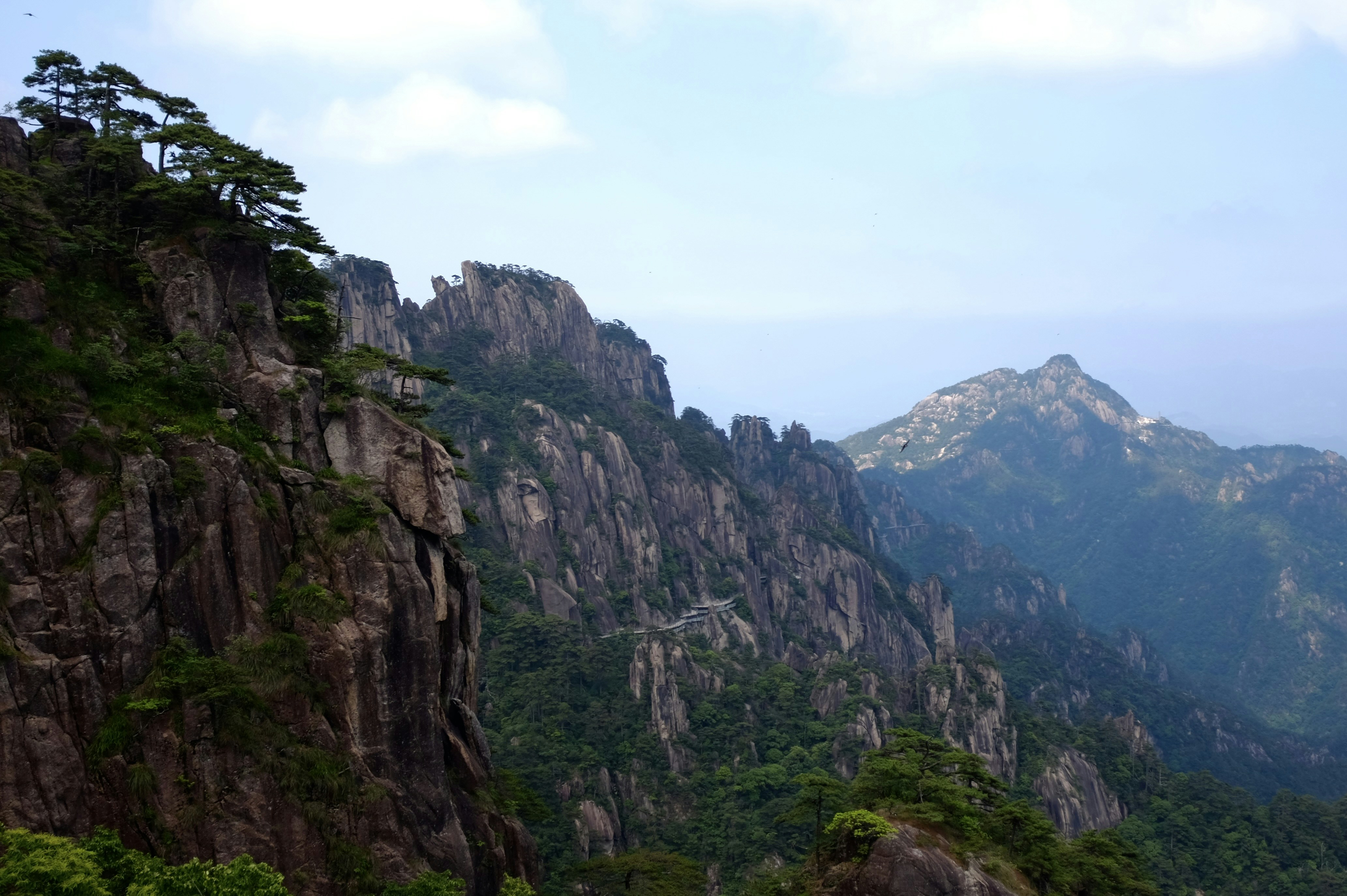 Photo by silkycotton