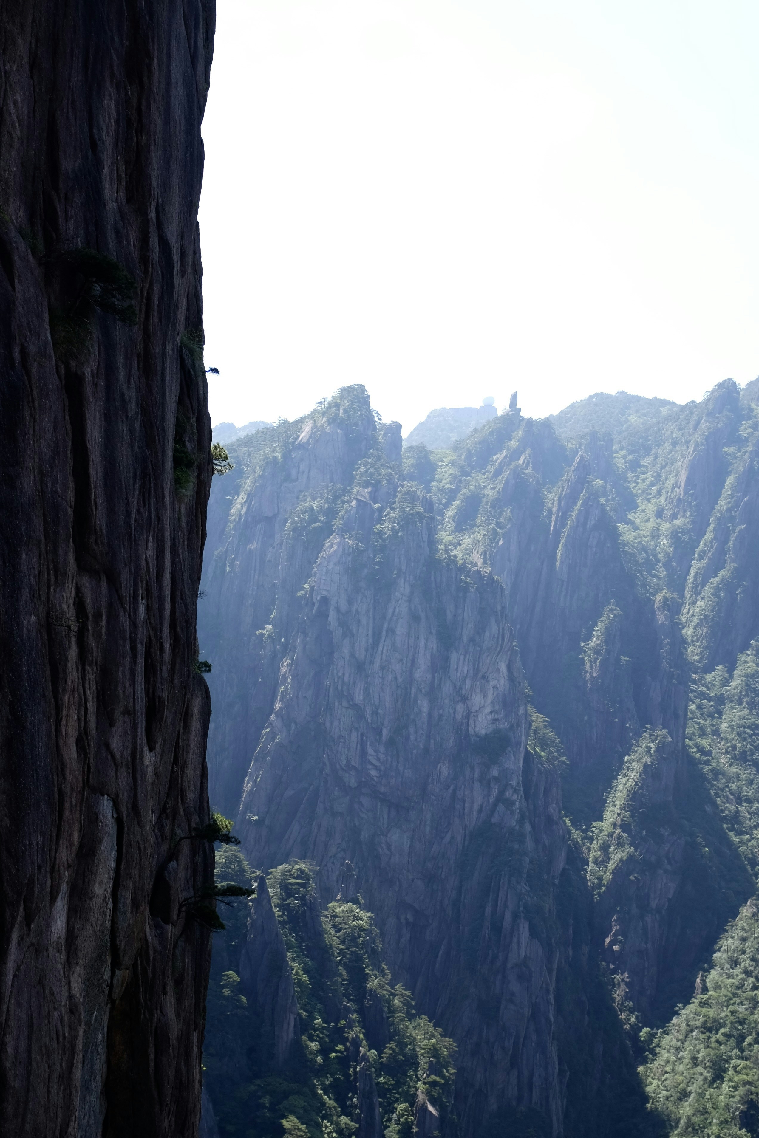 Photo by silkycotton