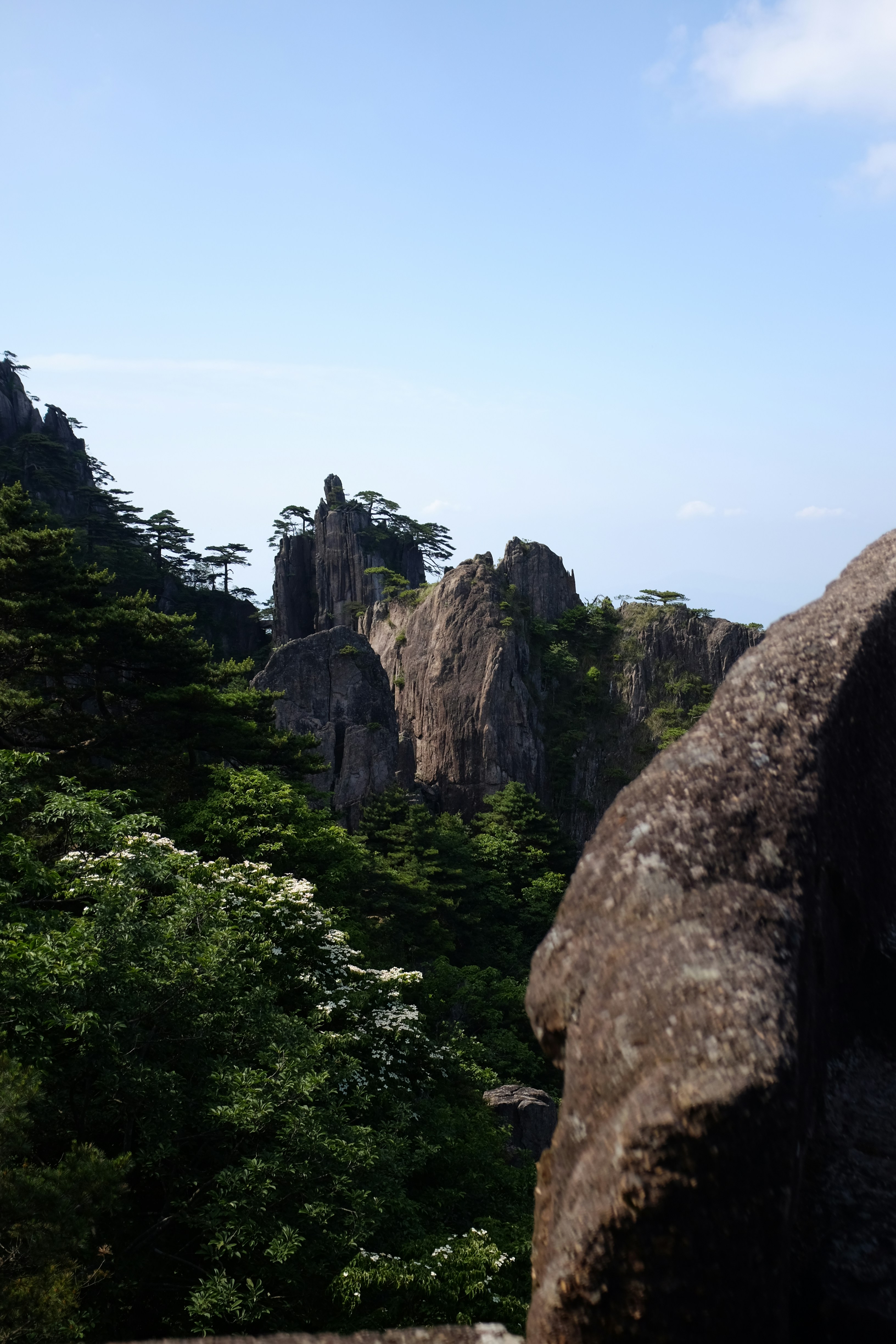A man standing on top of a large rock next to a forest