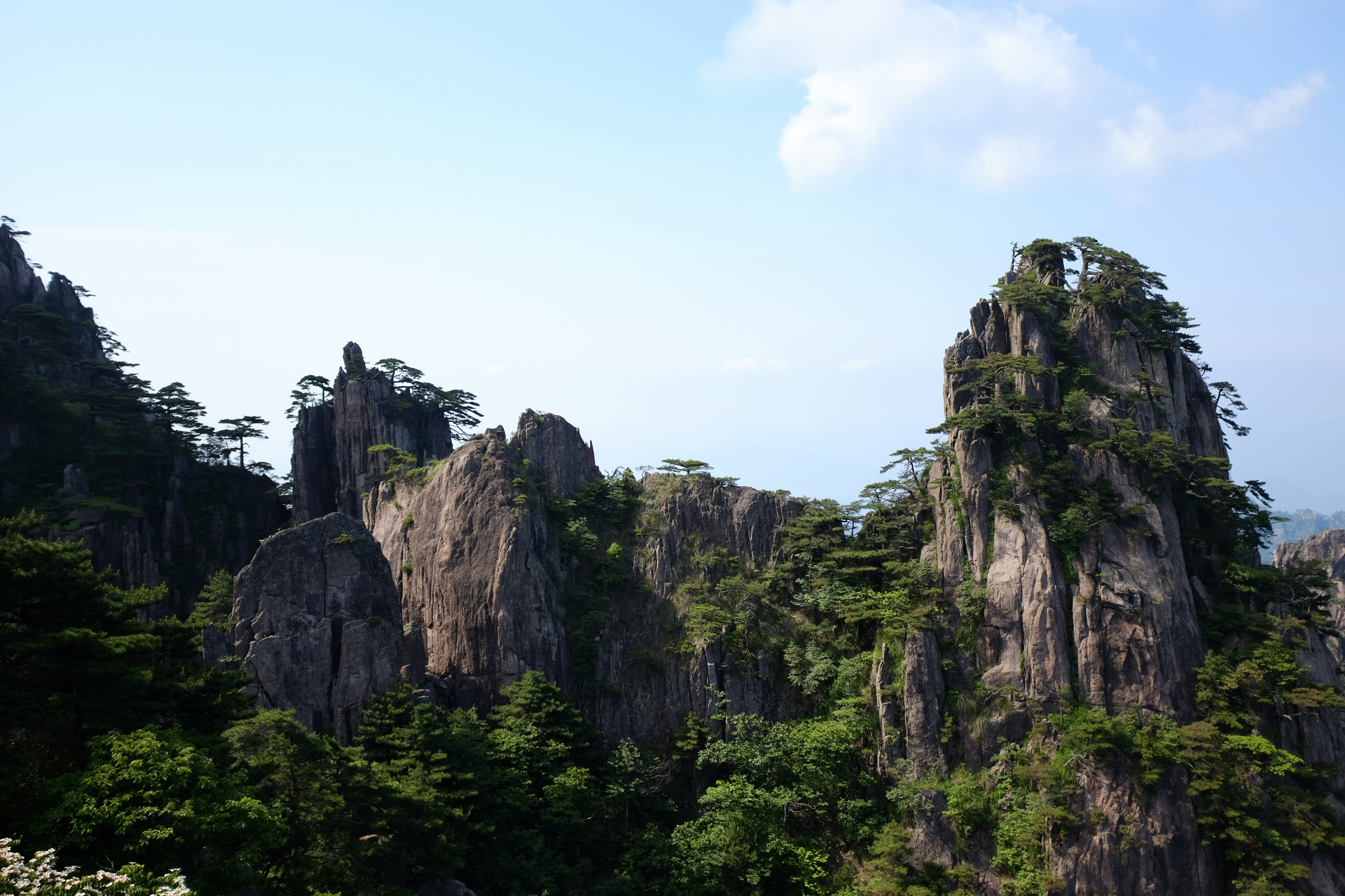 A group of rocks in the middle of a forest
