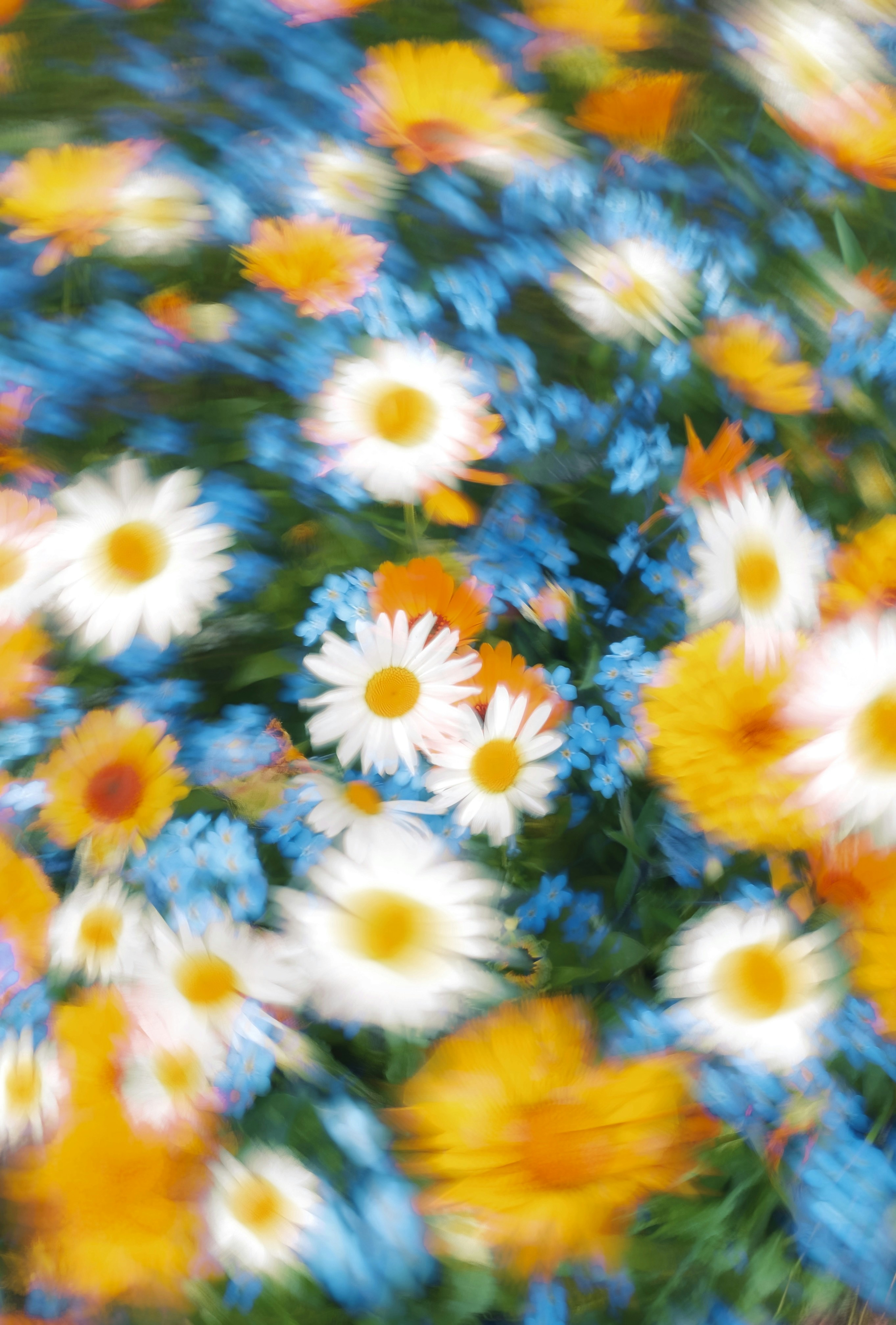 Photo by eugene_golovesov