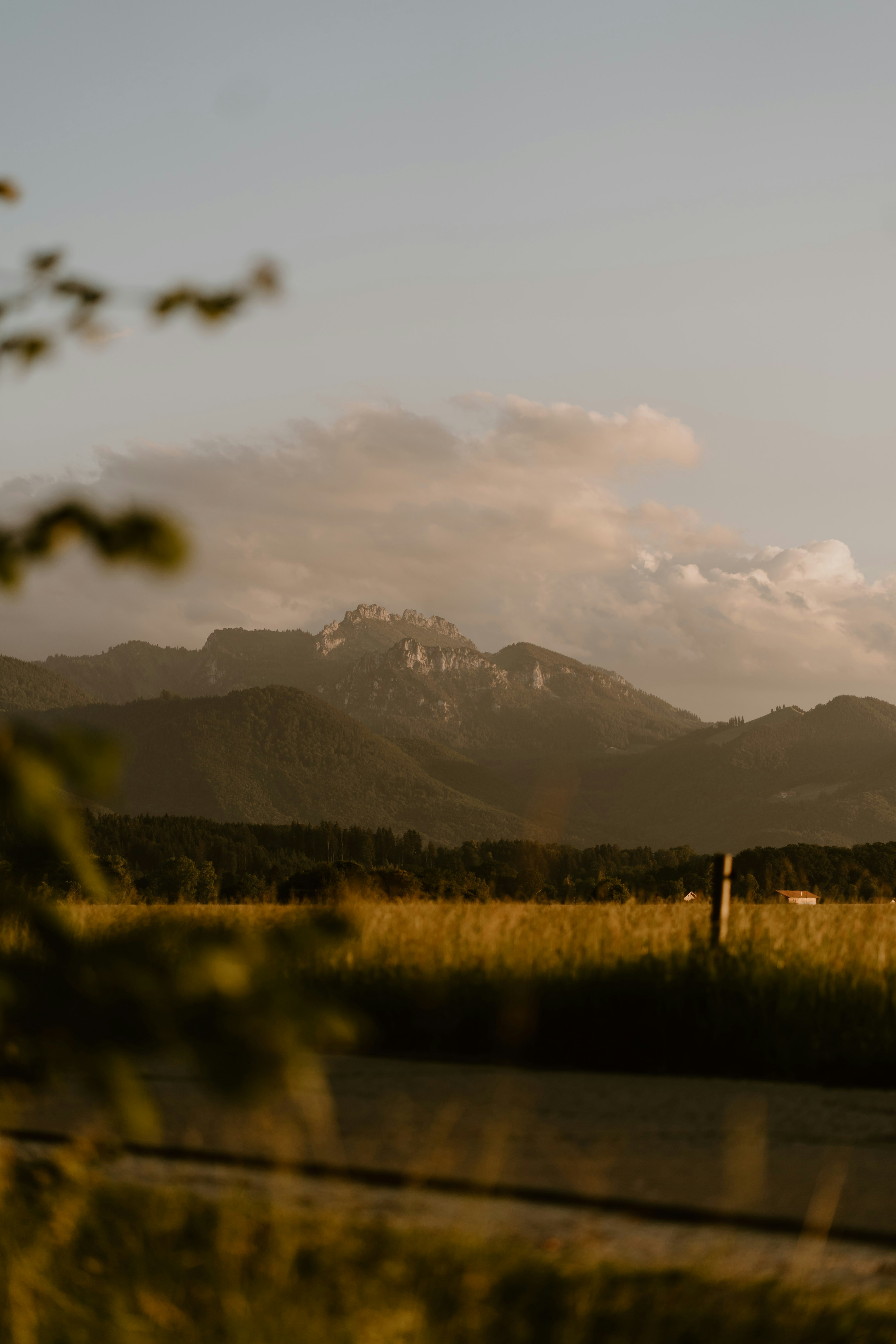 Photo by lenakestler