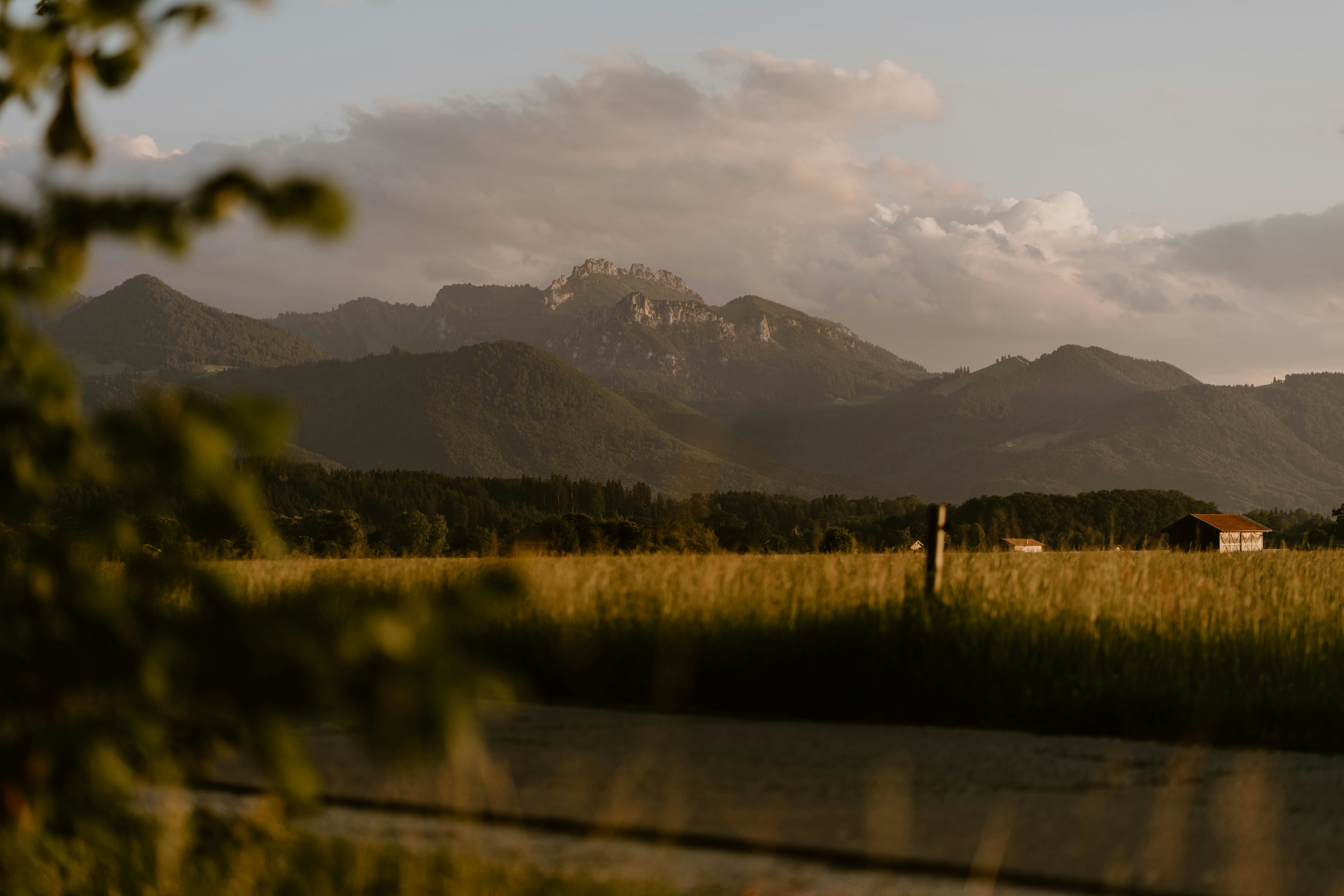 Photo by lenakestler