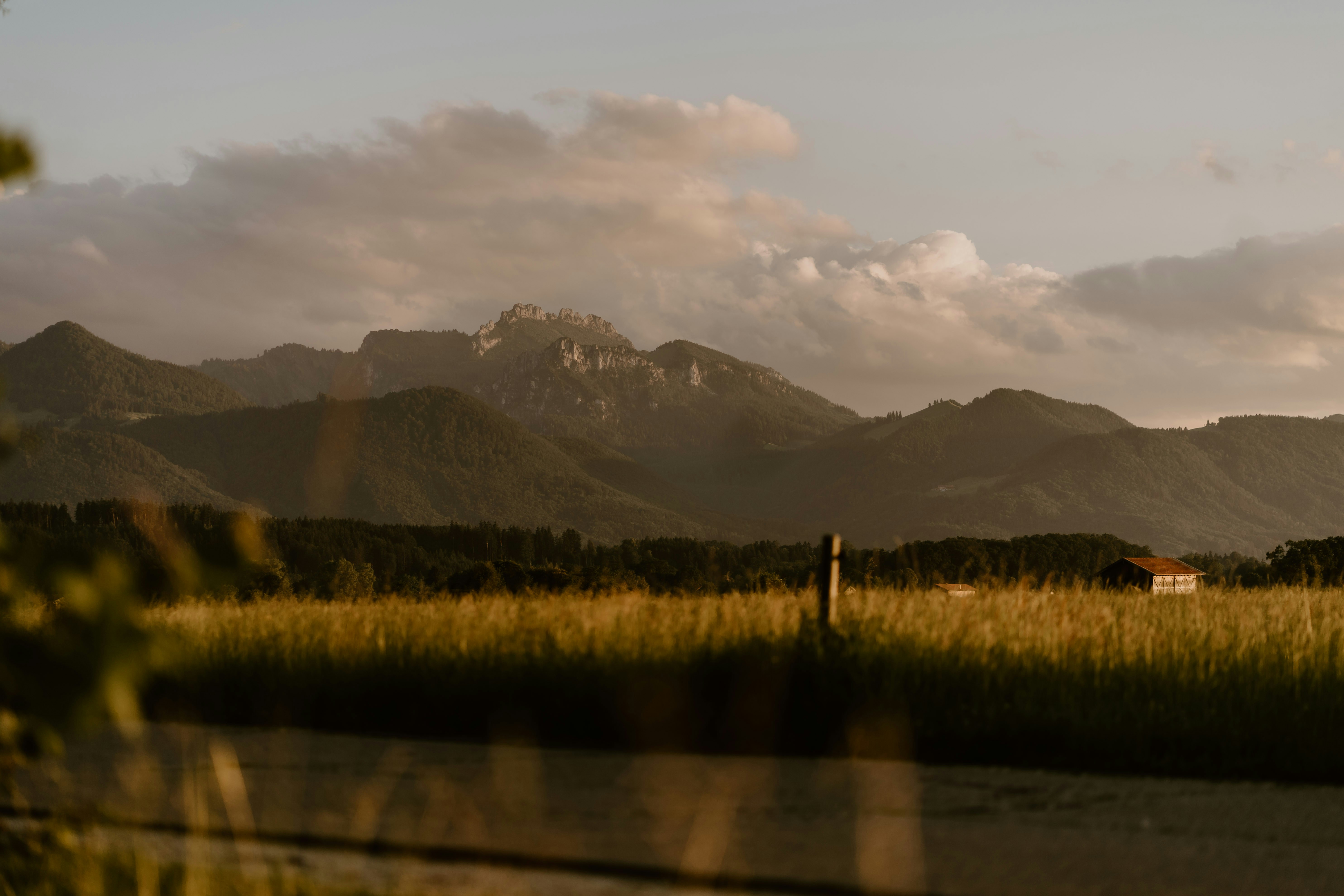 Photo by lenakestler