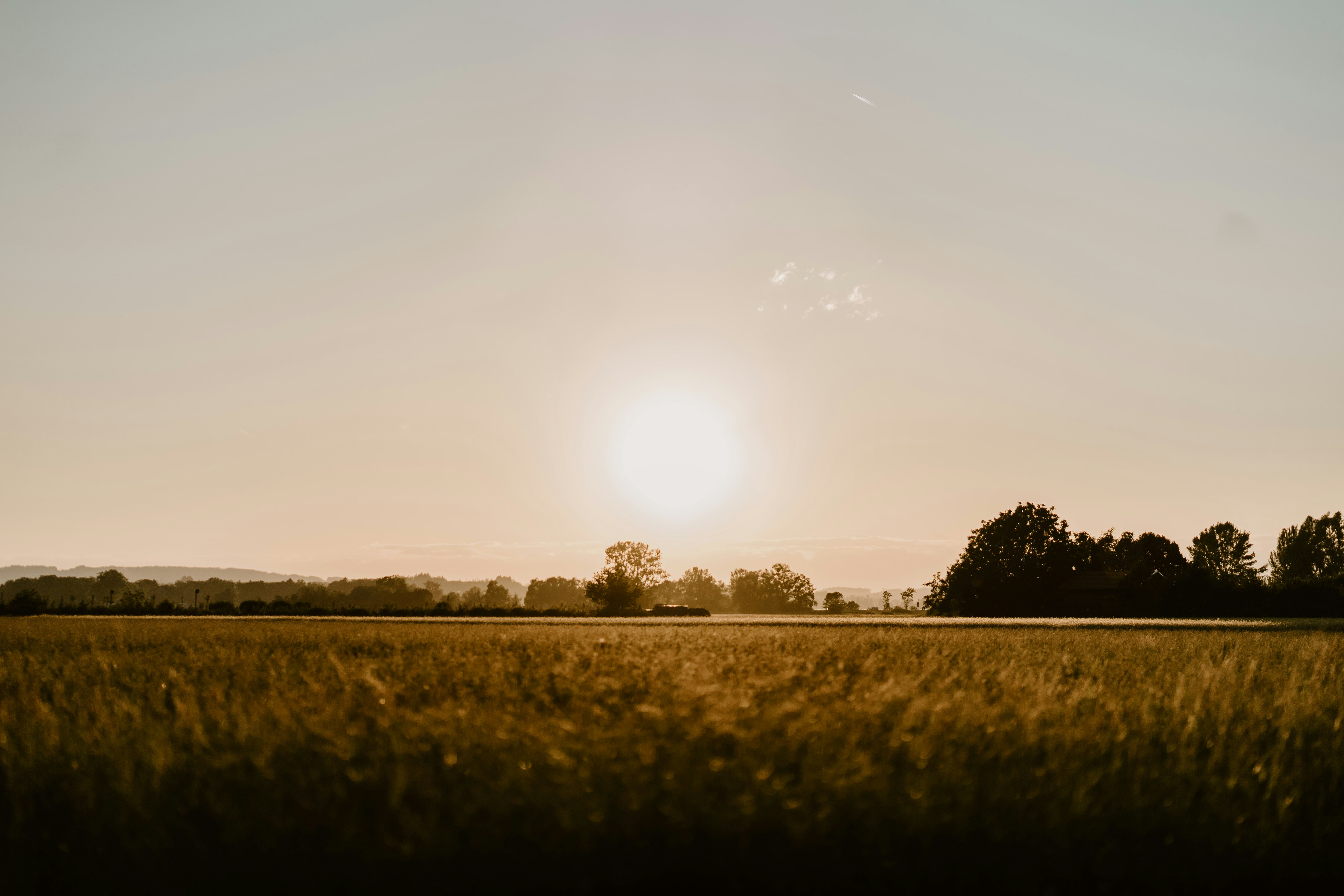 Photo by lenakestler