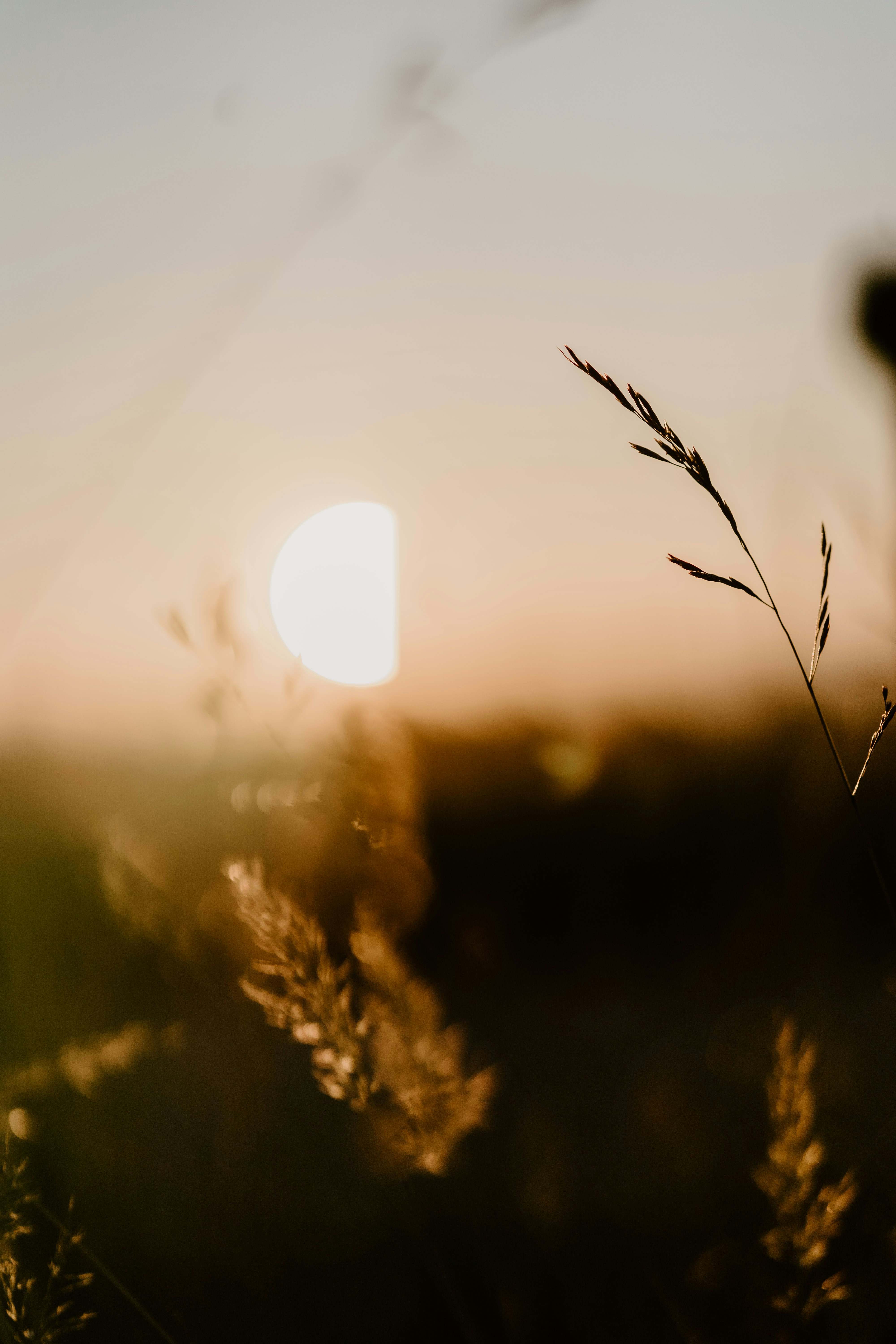 Photo by lenakestler