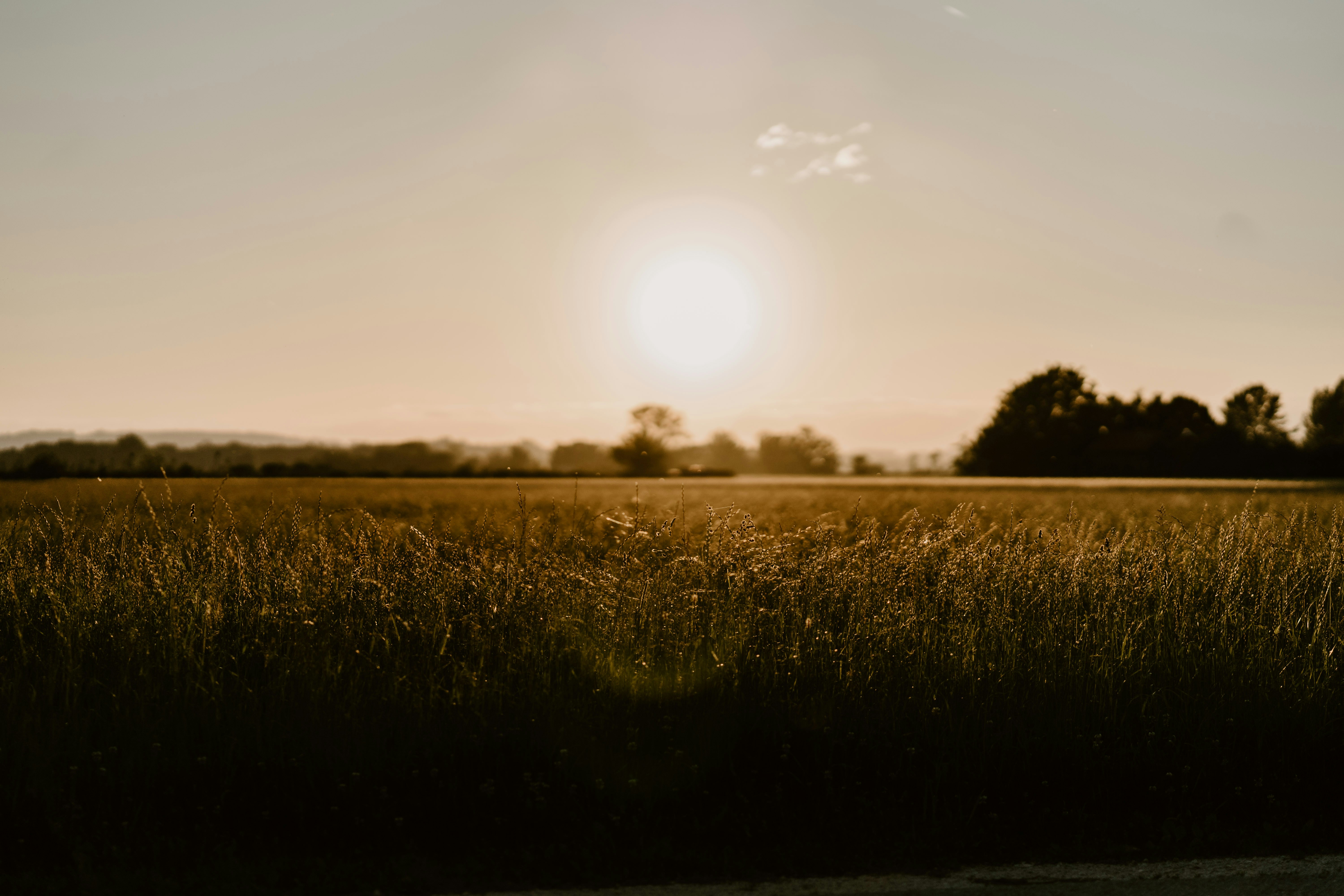 Photo by lenakestler