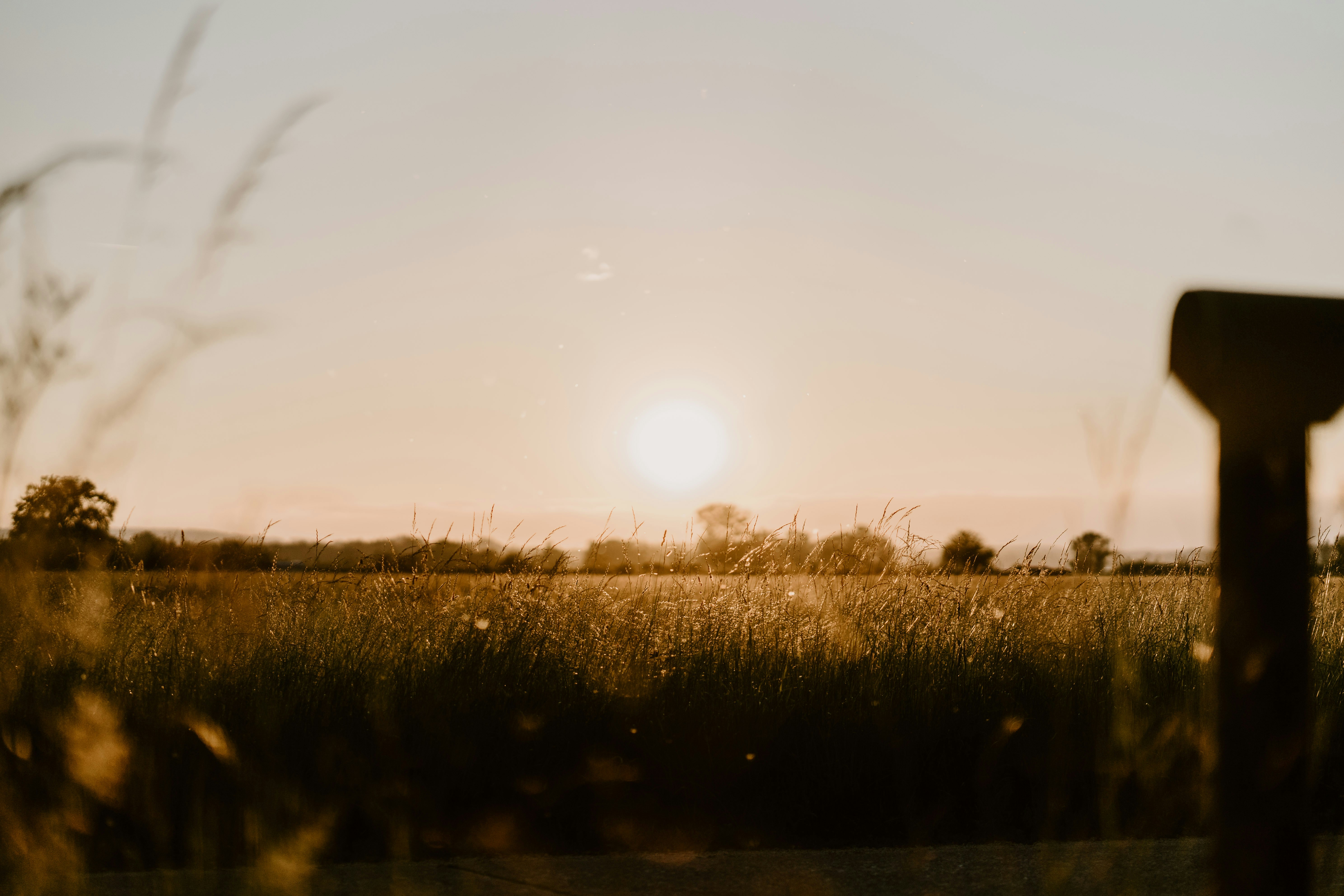 Photo by lenakestler