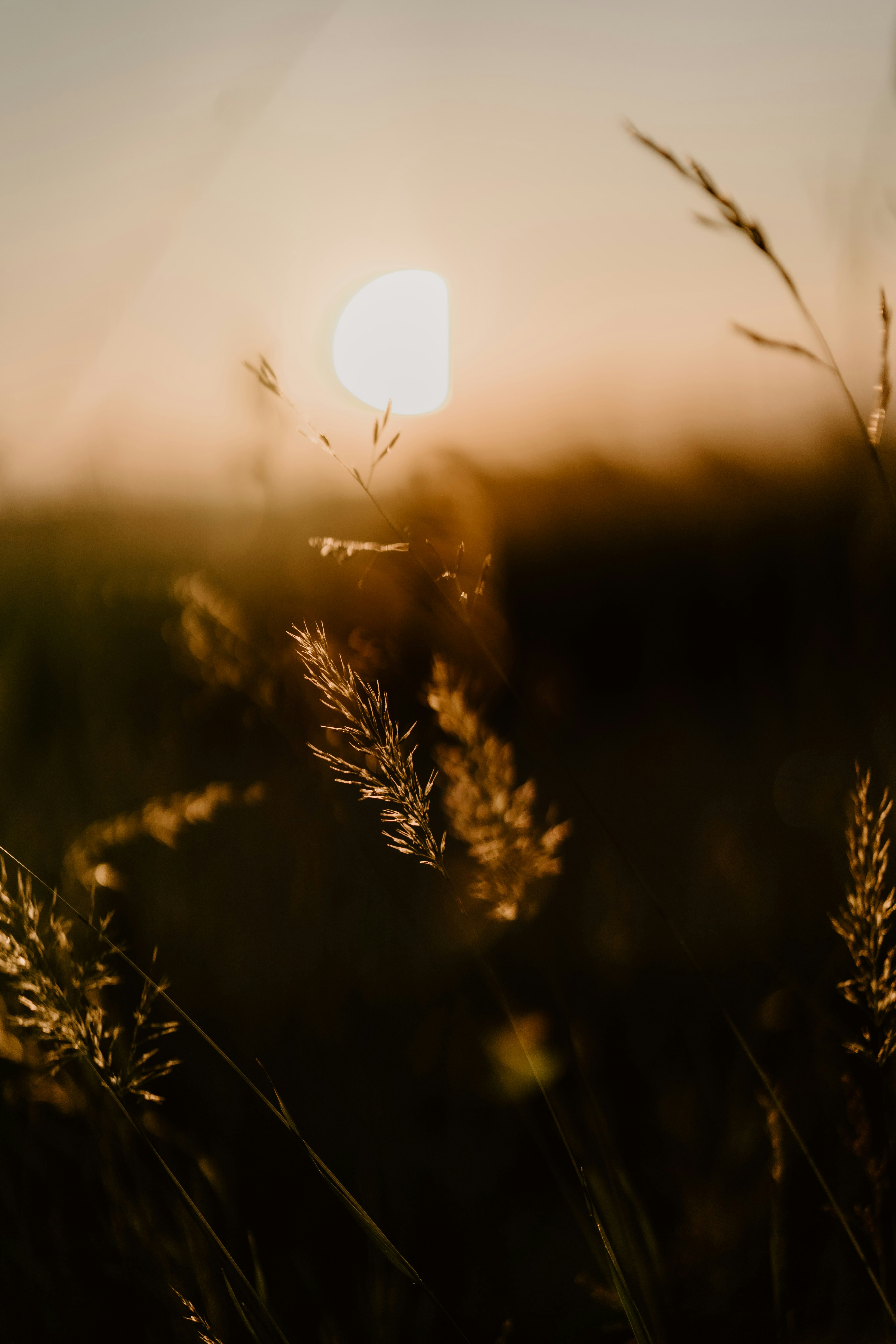 Photo by lenakestler