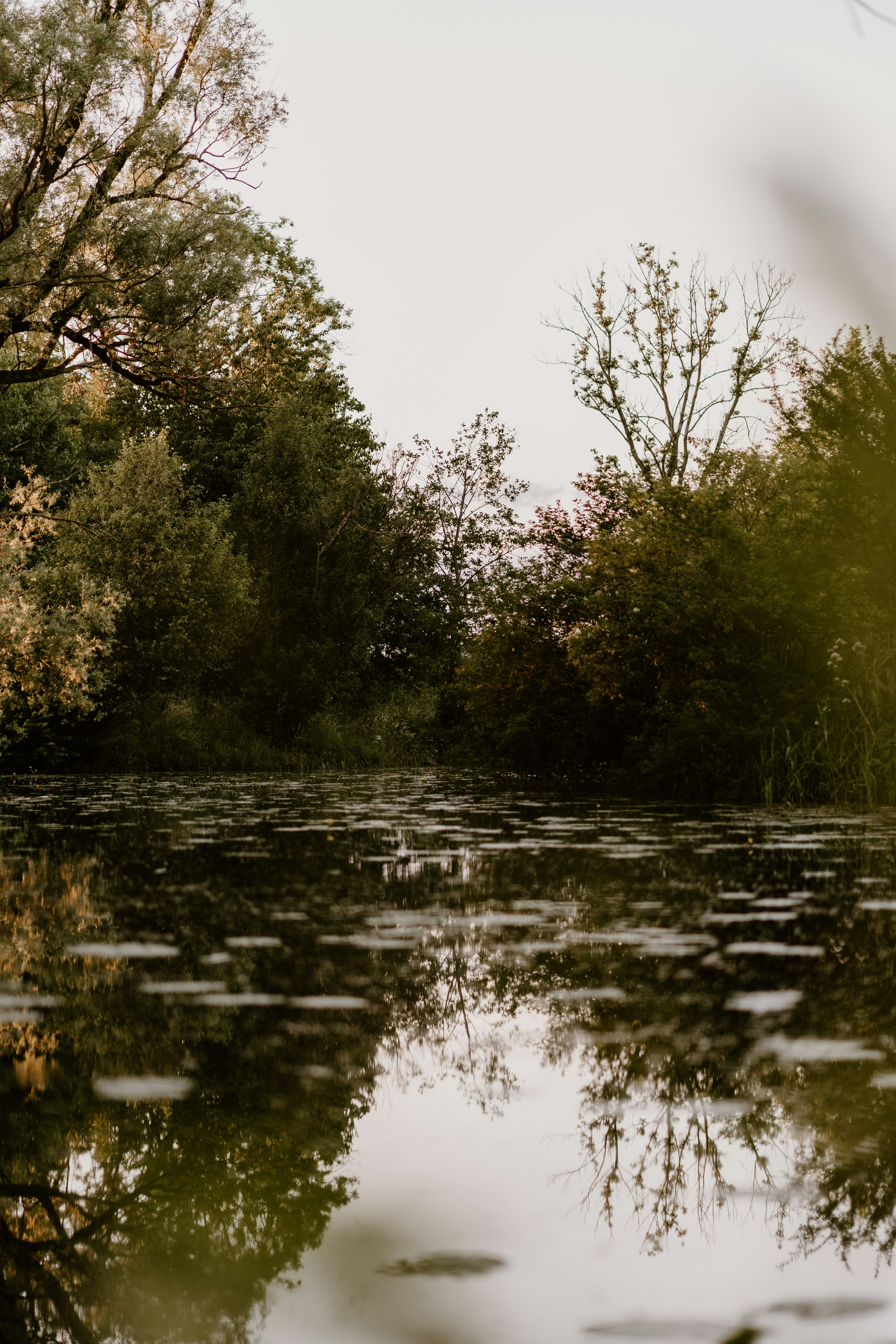 Photo by lenakestler