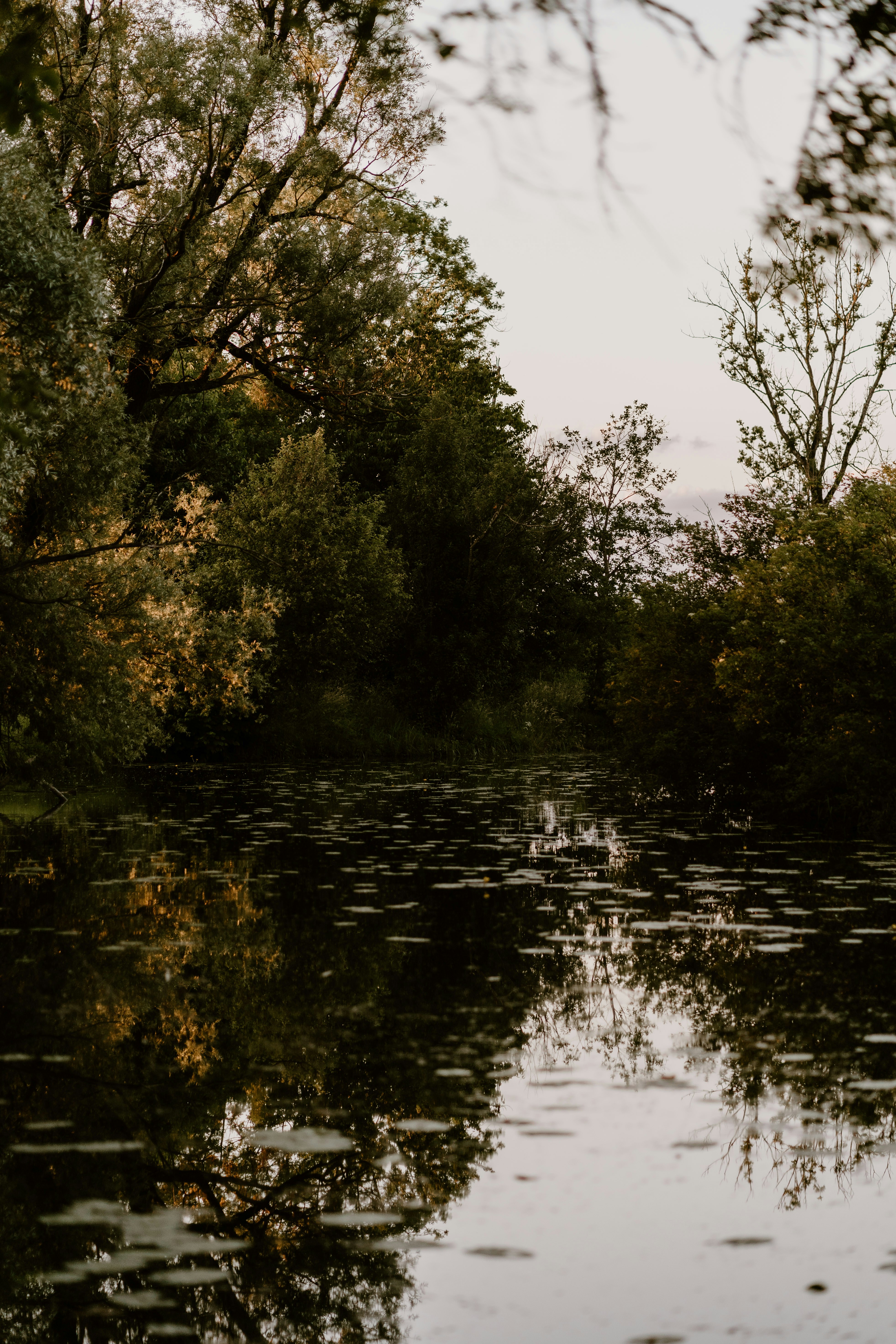 Photo by lenakestler