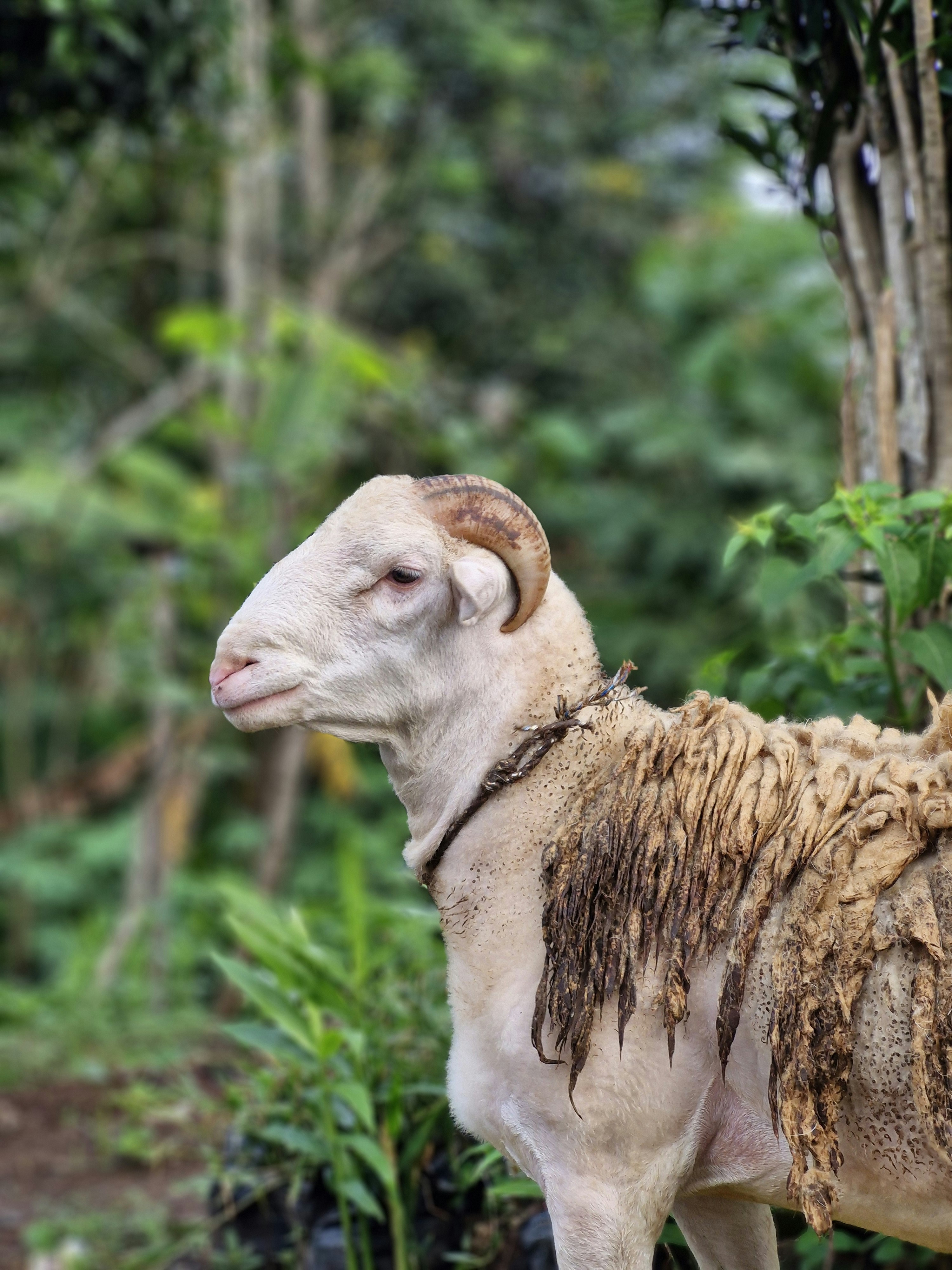 Photo by denis_nugraha