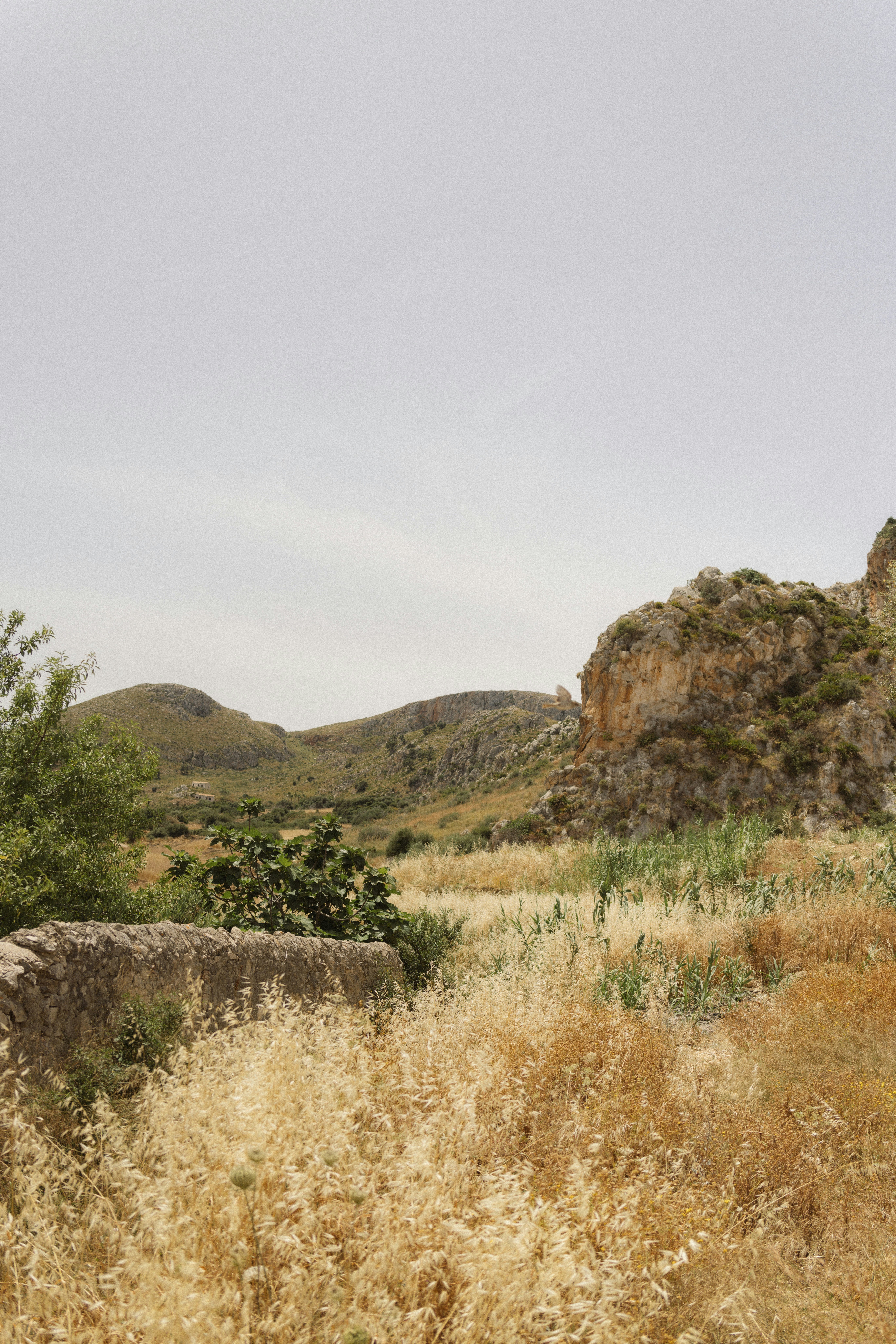 Photo by joshwithers