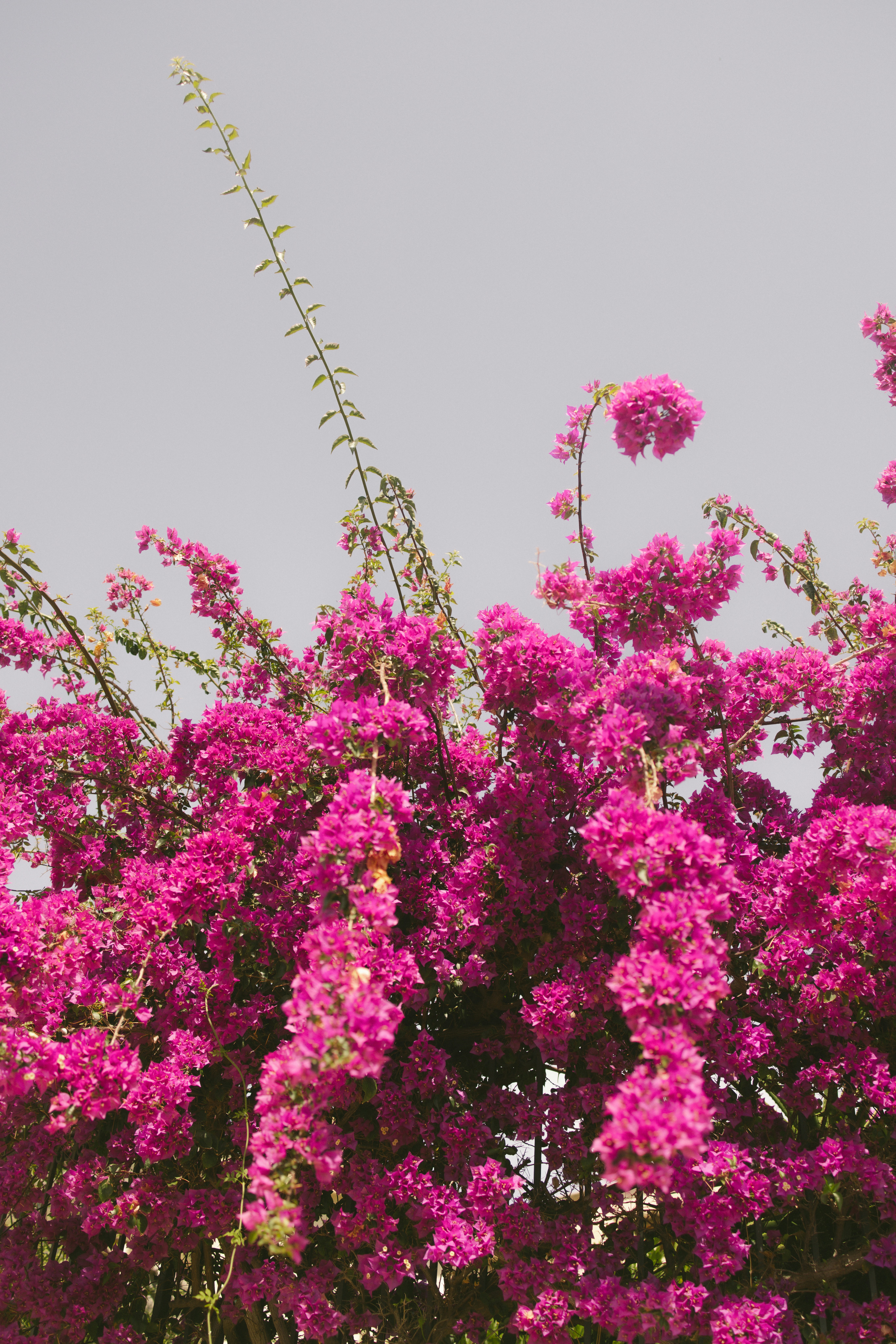 Photo by joshwithers