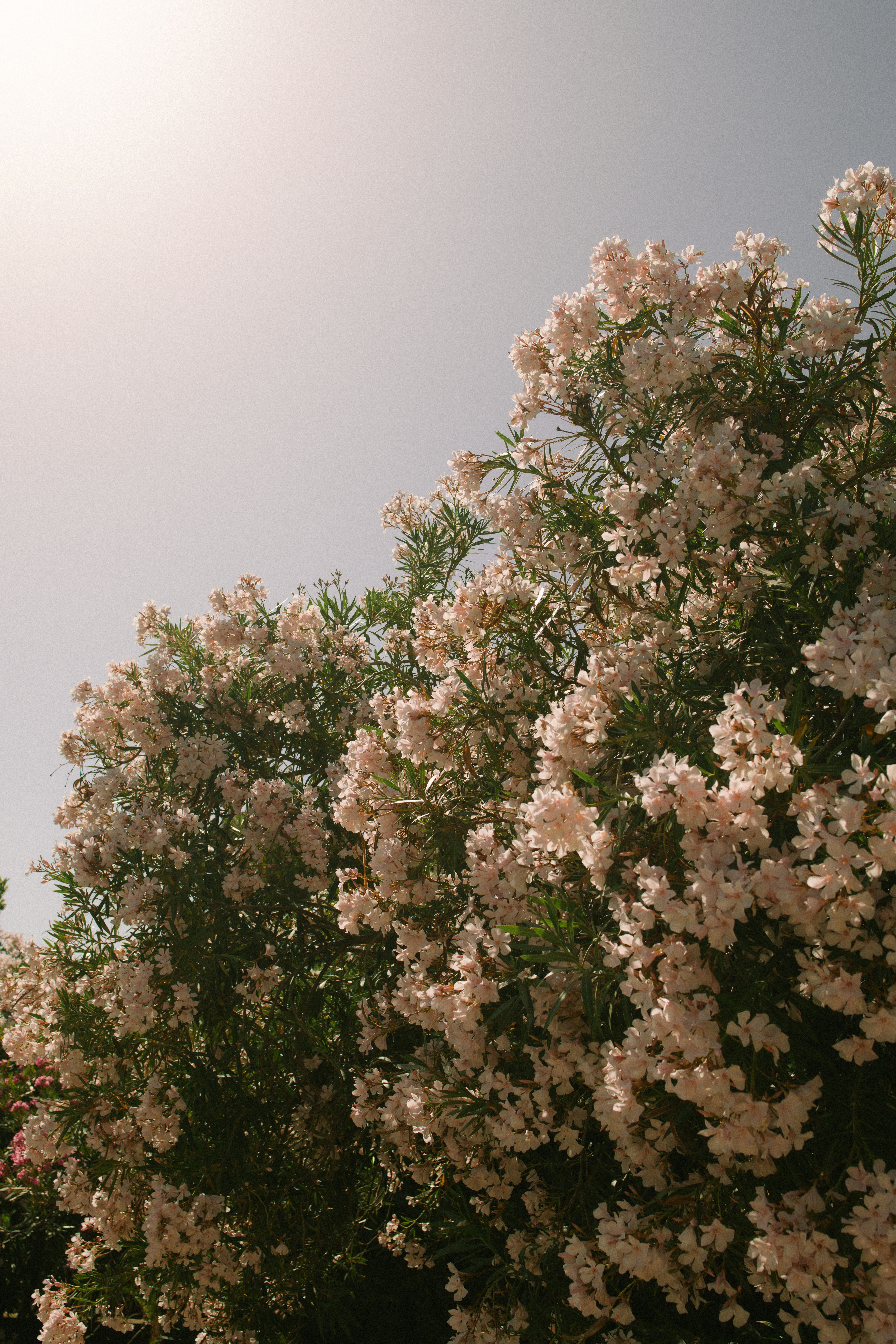 Photo by joshwithers