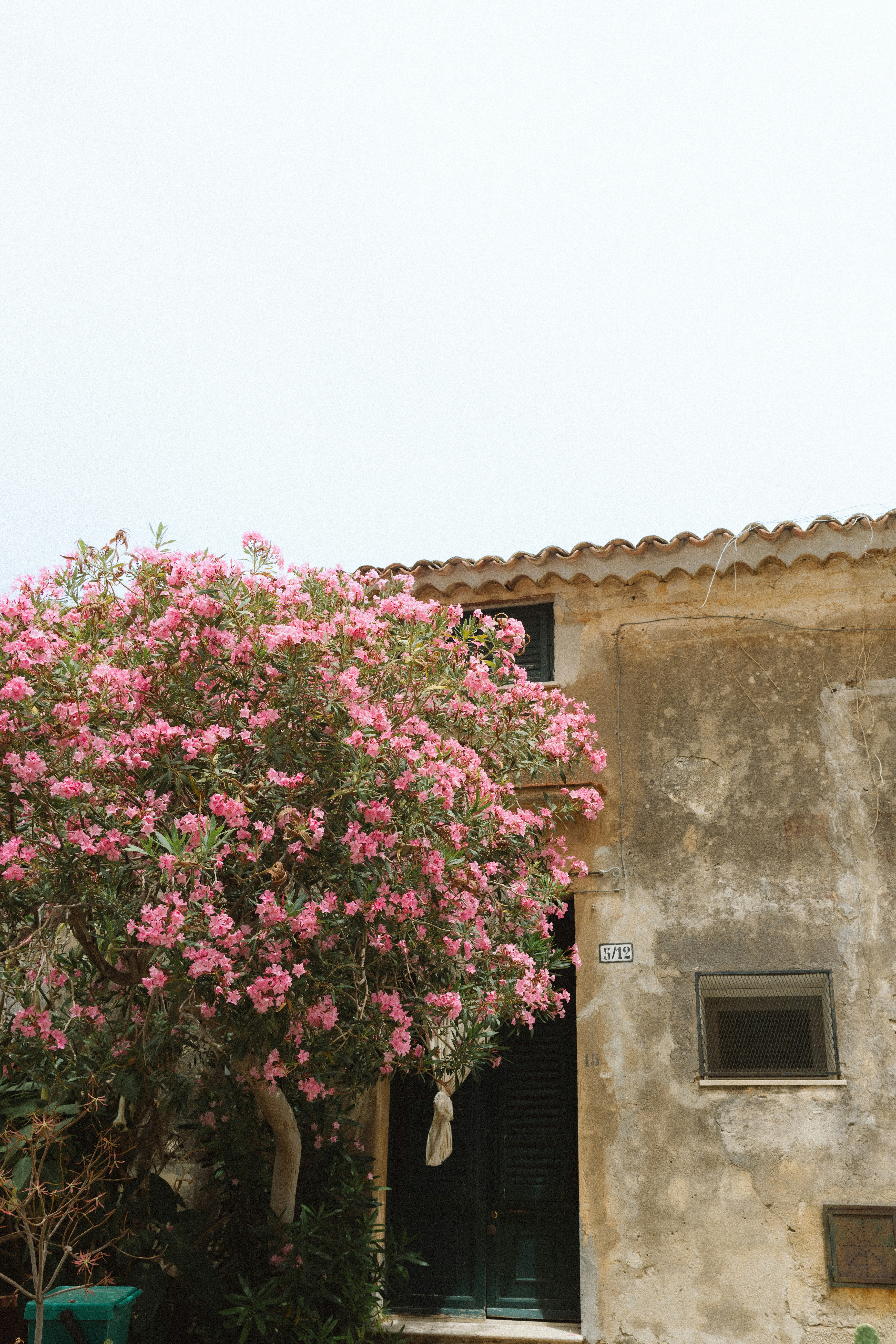 Photo by joshwithers