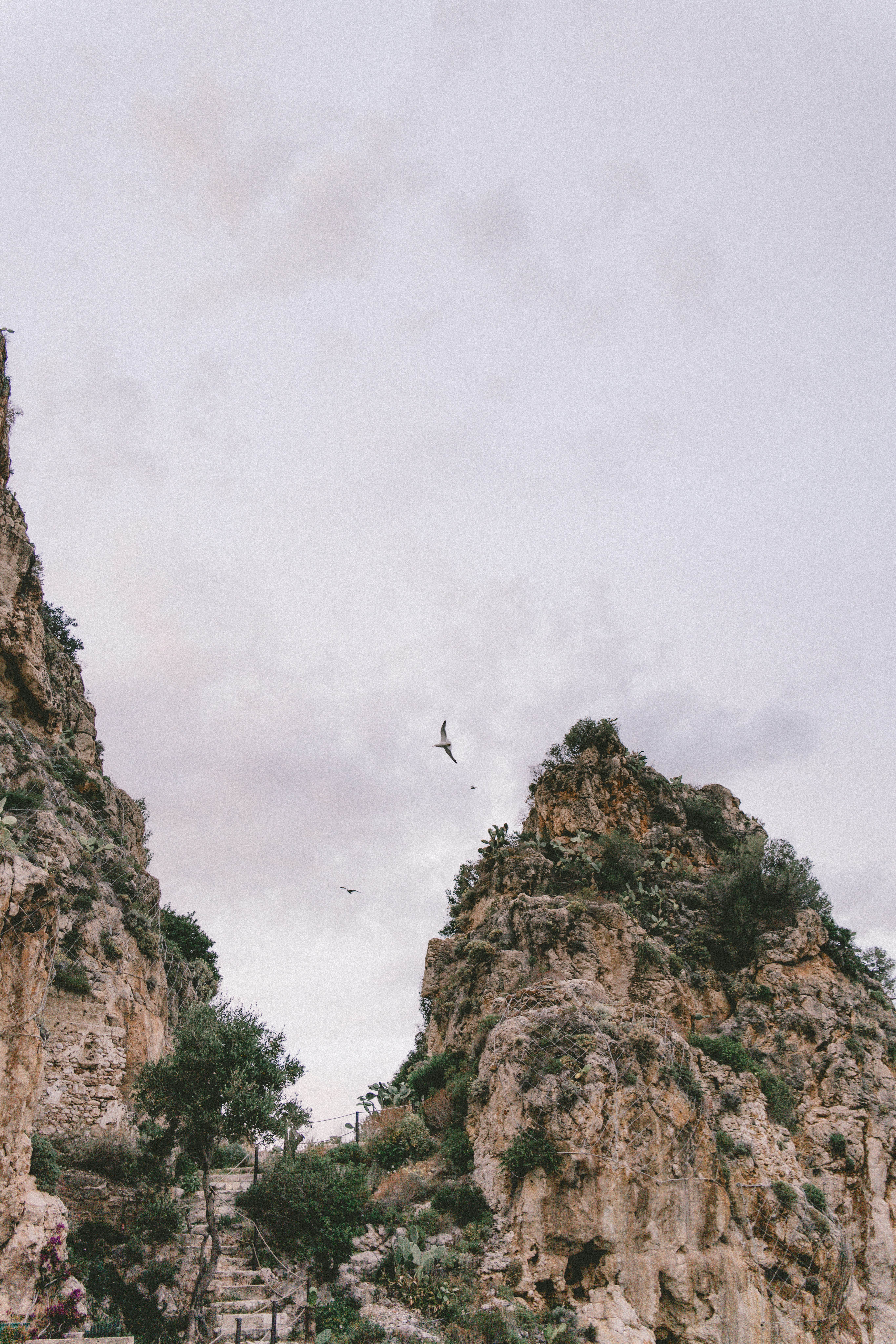 Photo by joshwithers