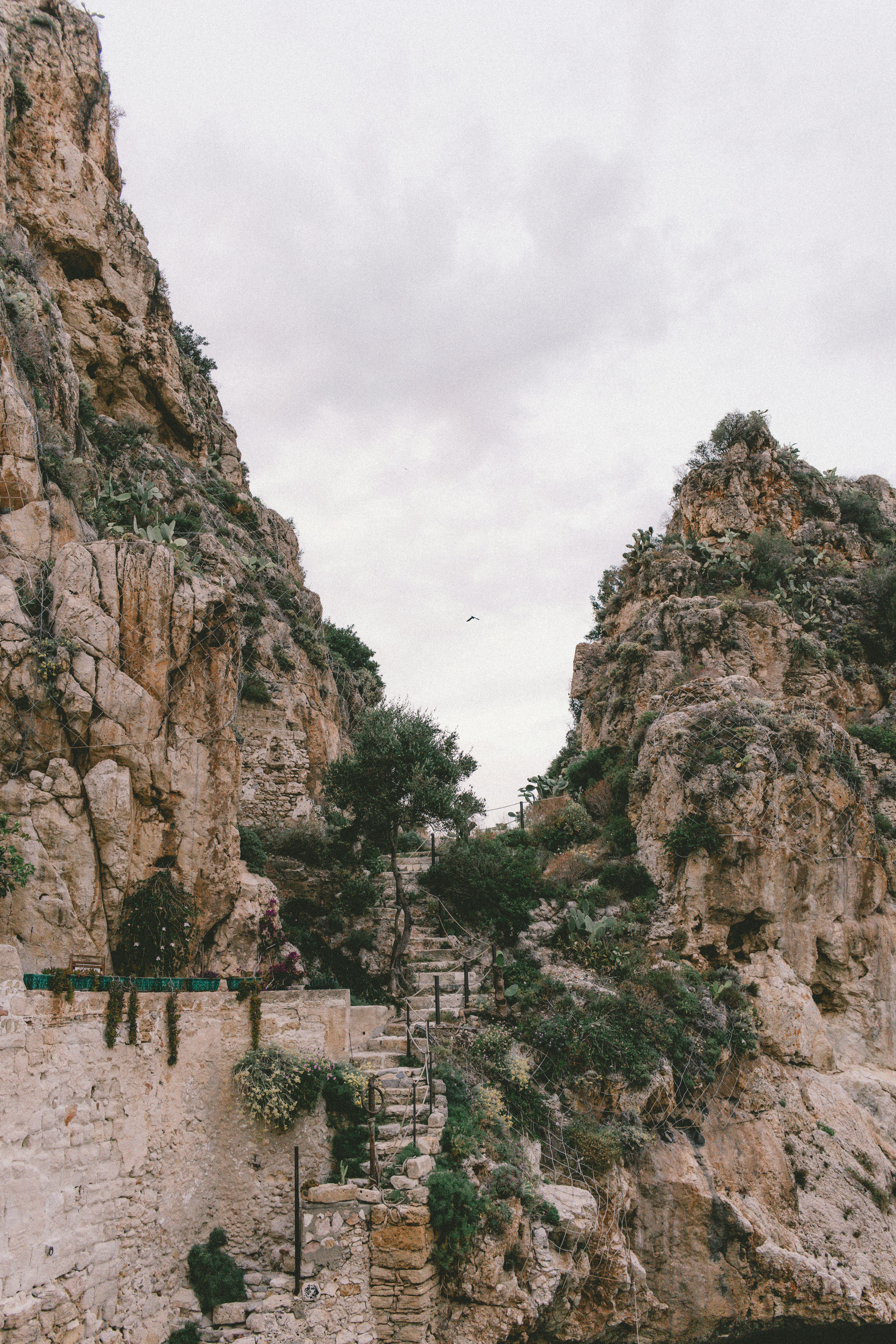 Photo by joshwithers