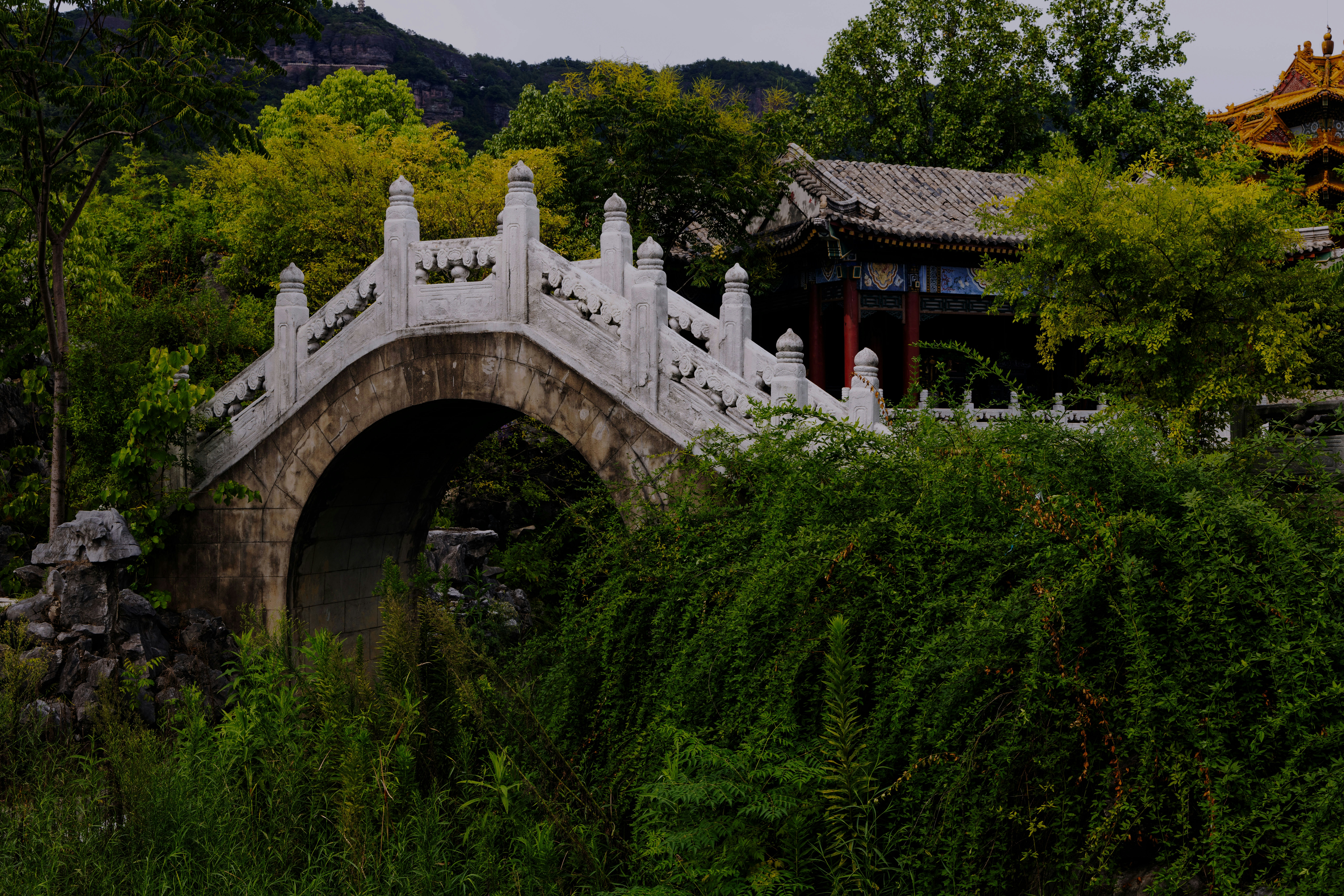 Photo by rezazino54