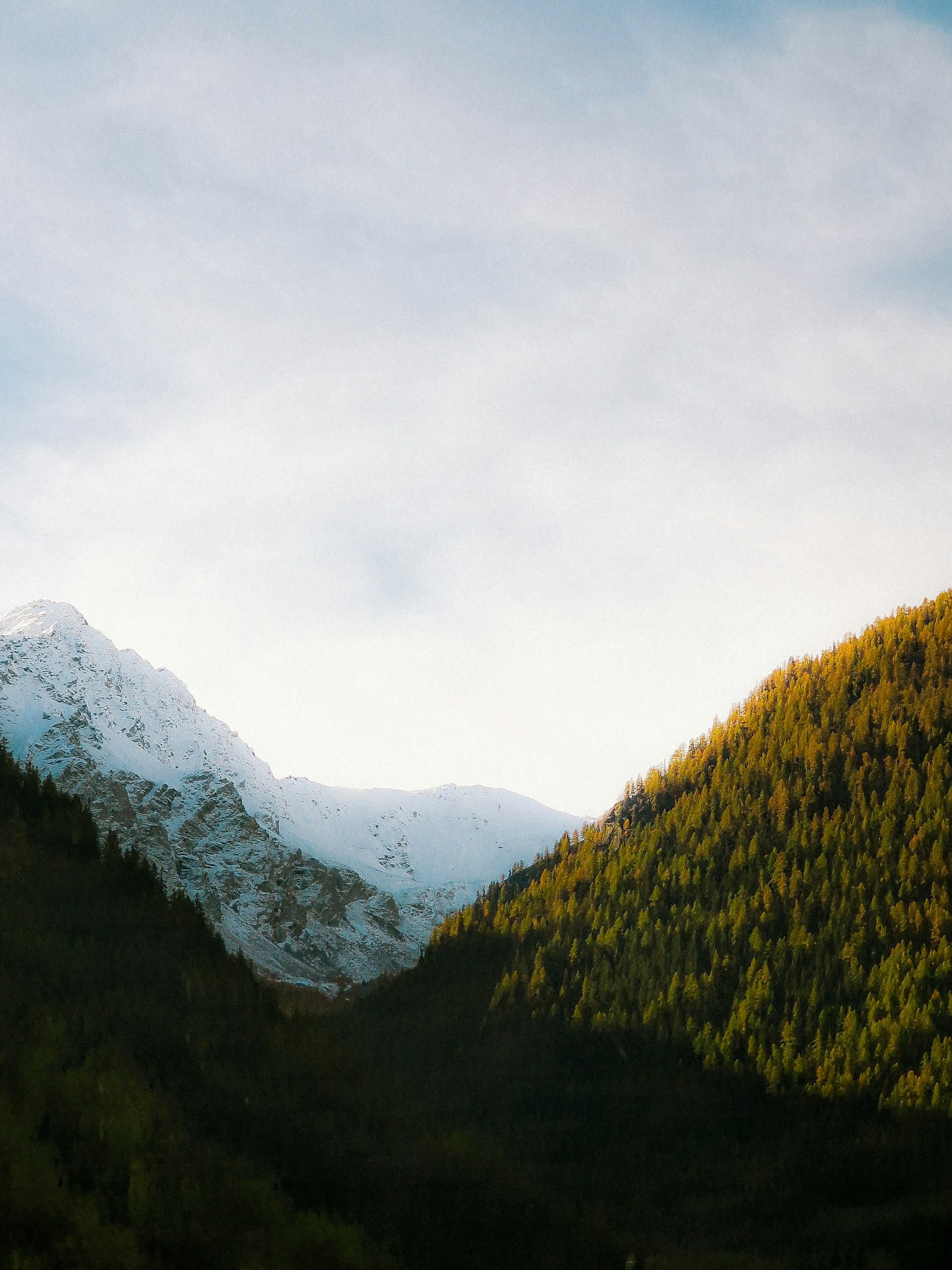 A view of a mountain with snow on the top