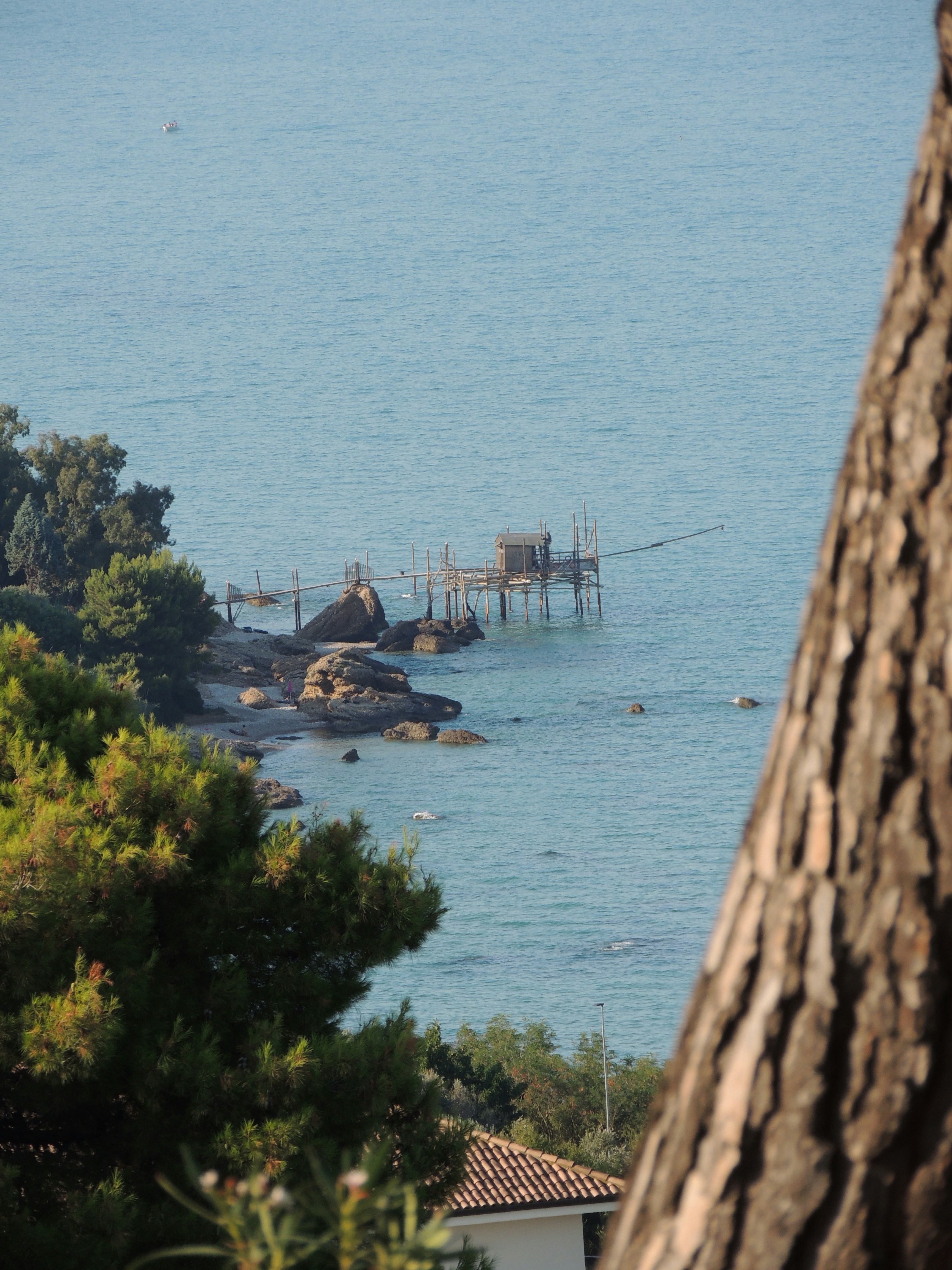A body of water surrounded by trees and buildings