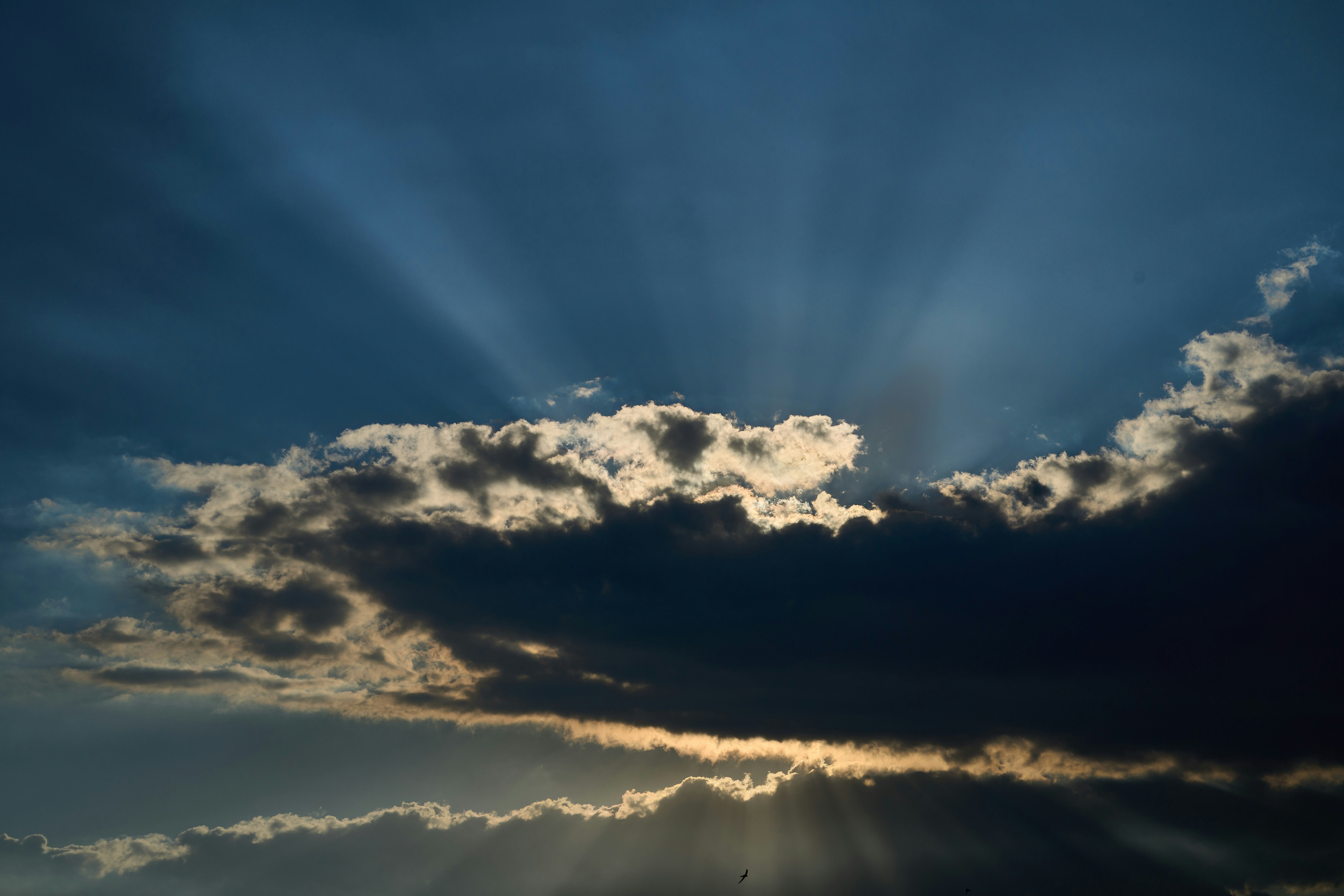 Photo by wolfgang_hasselmann