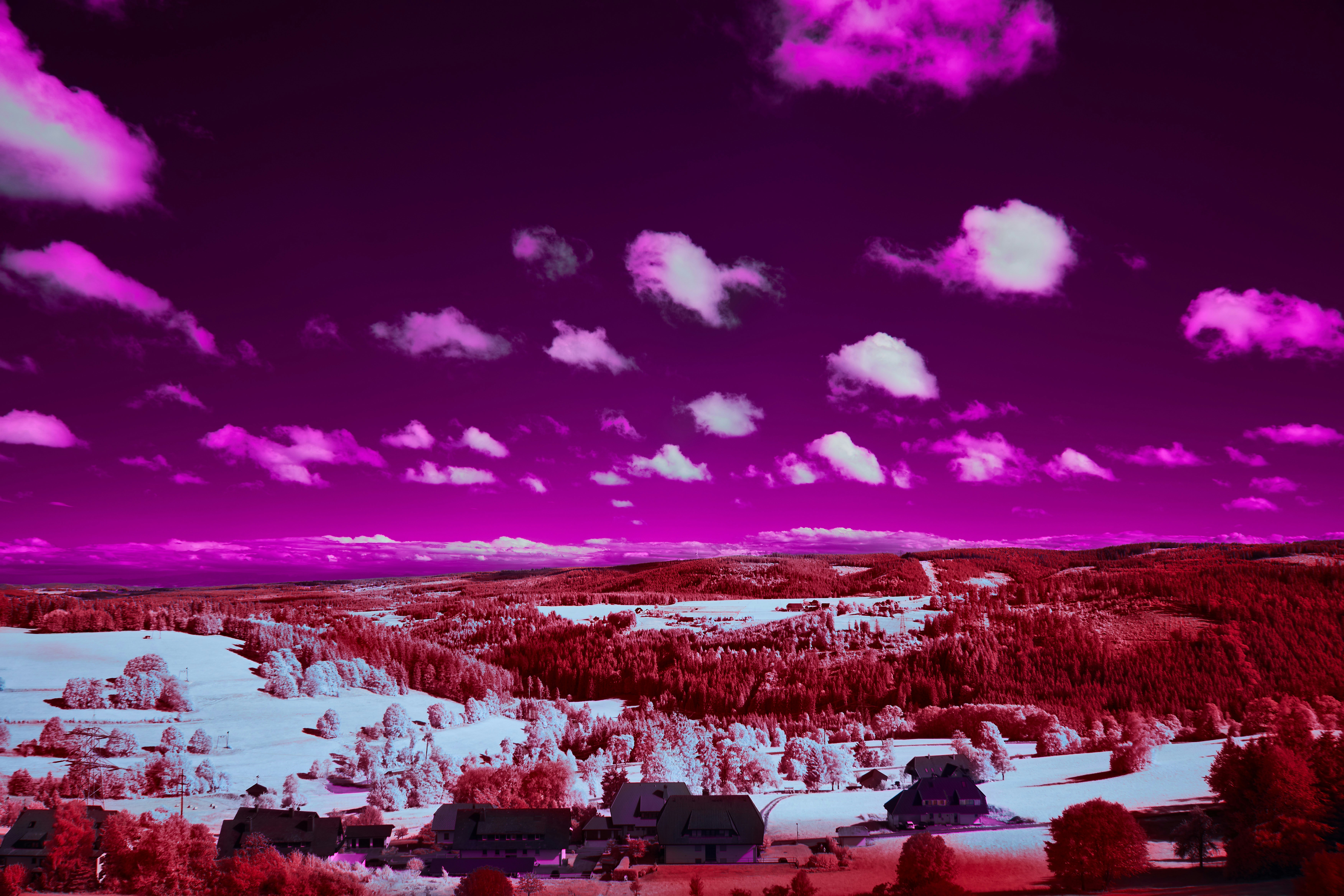 Photo by wolfgang_hasselmann