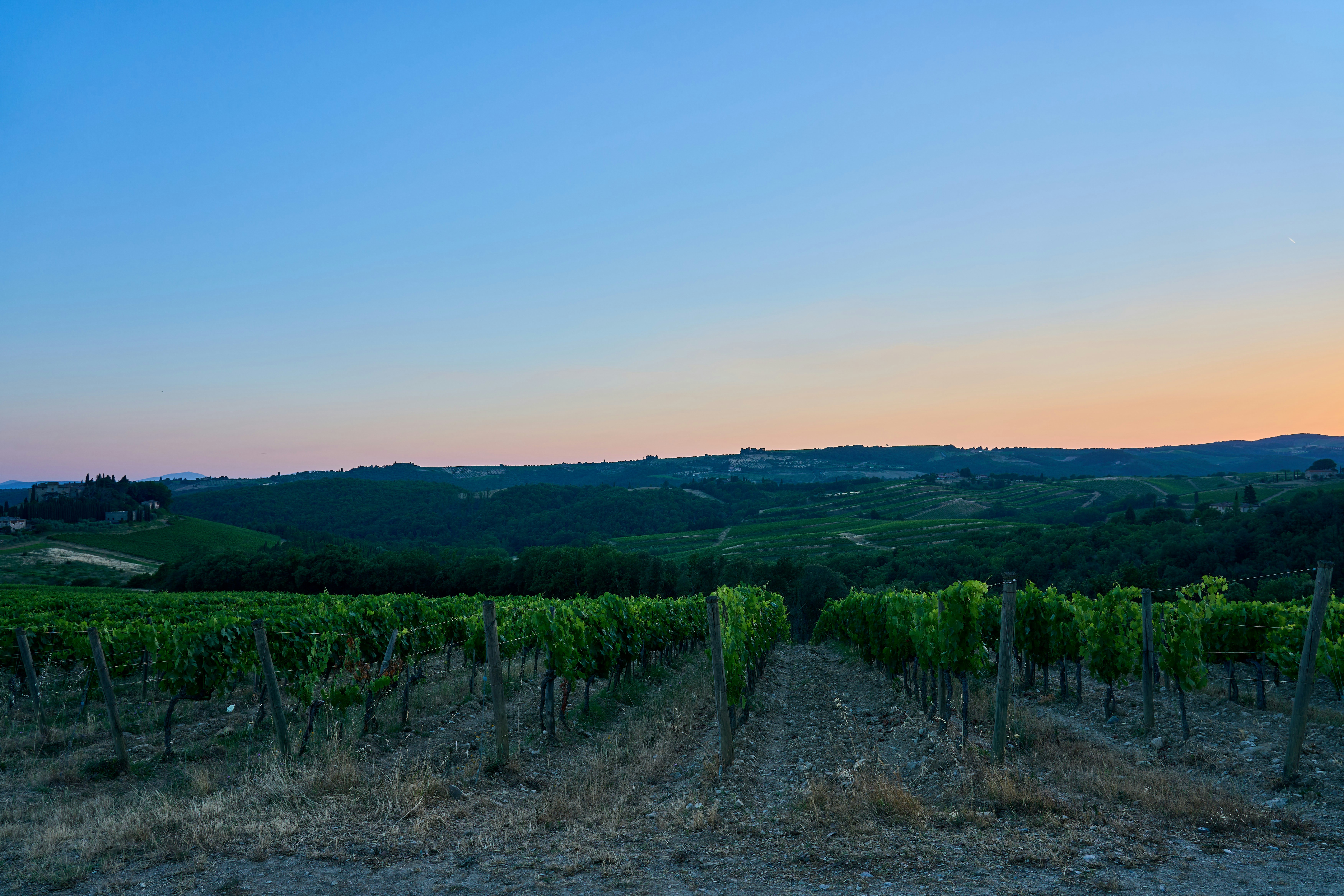 Photo by wolfgang_hasselmann