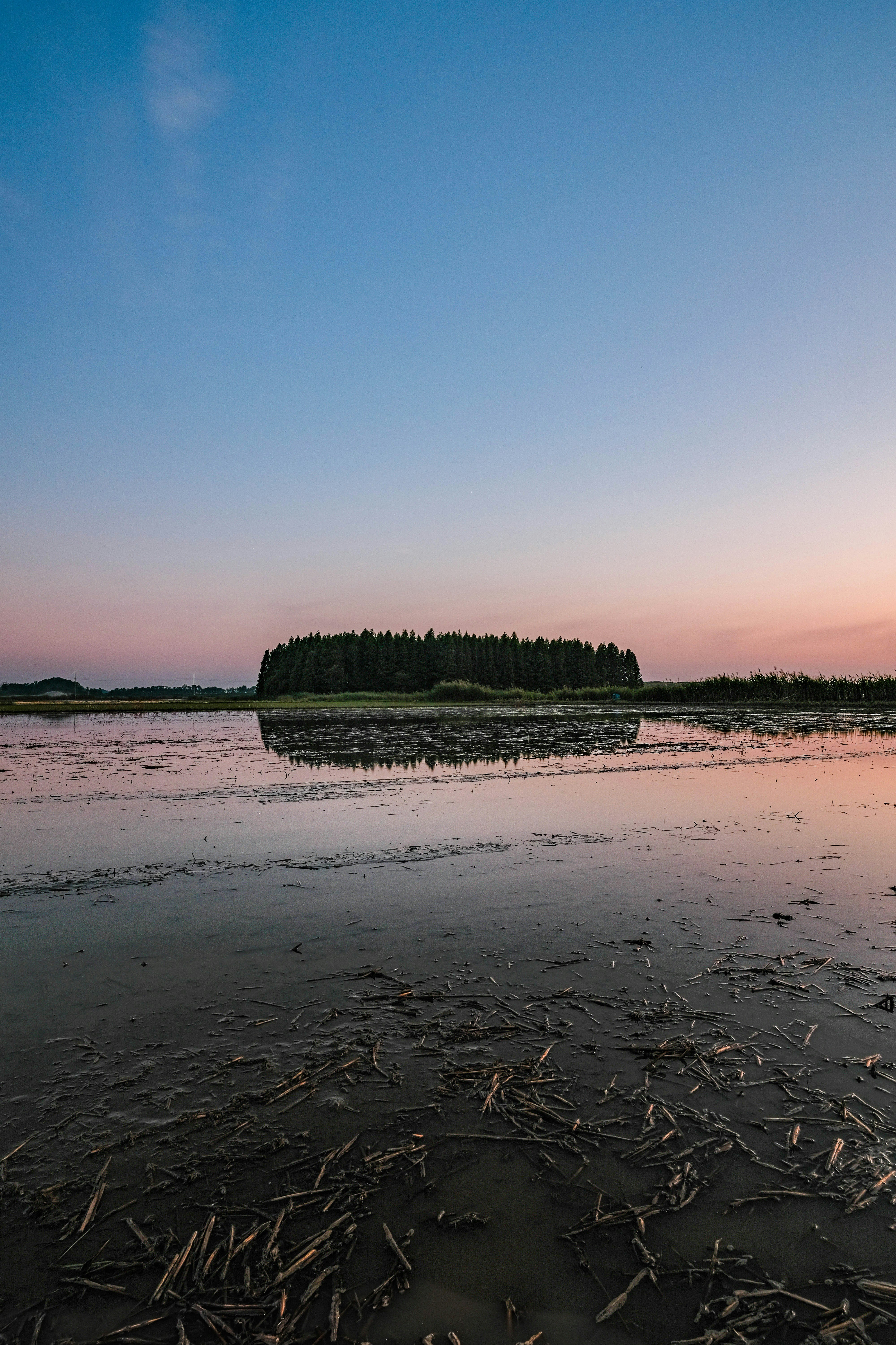 Photo by insungpandora