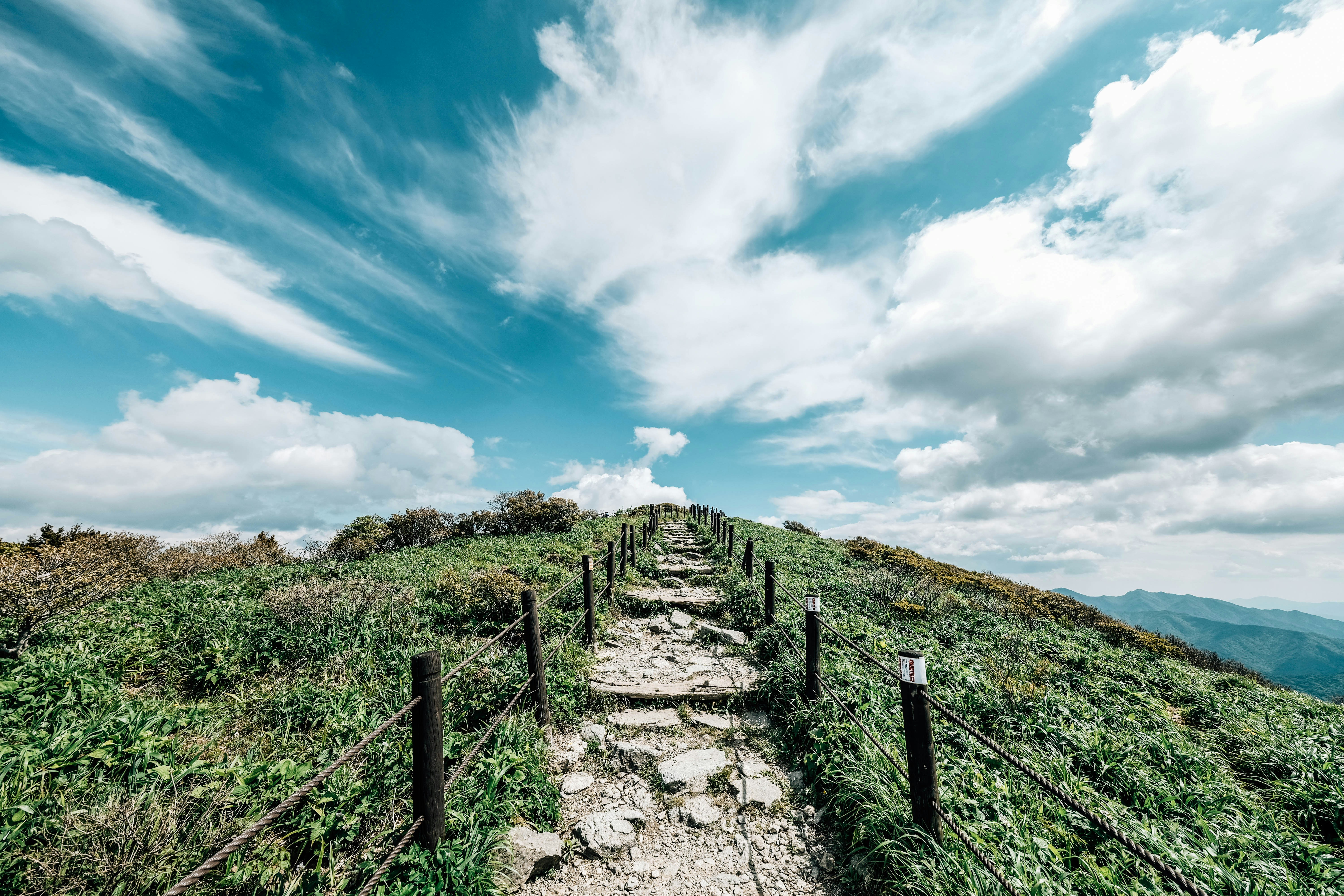 Photo by insungpandora