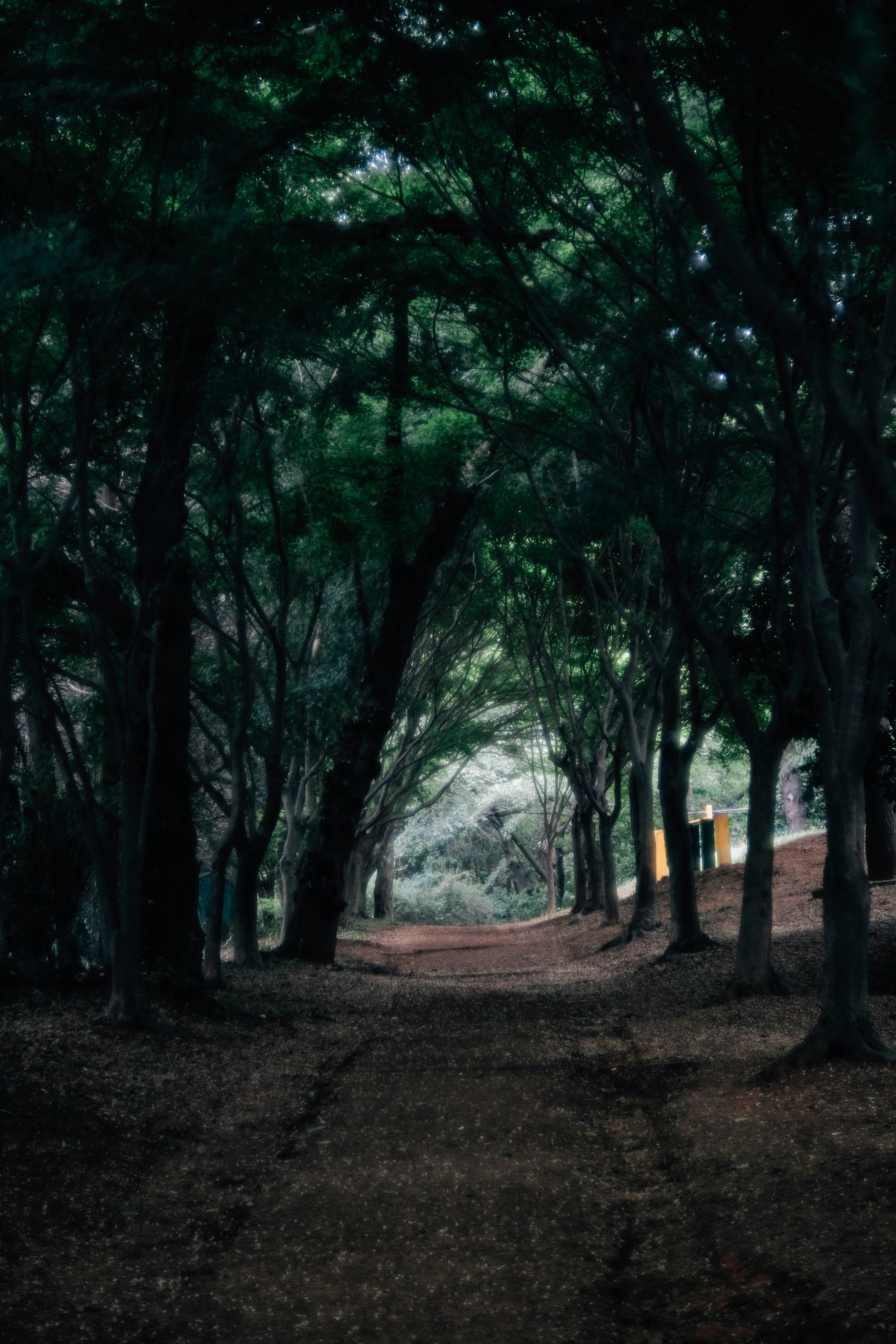 Photo by insungpandora