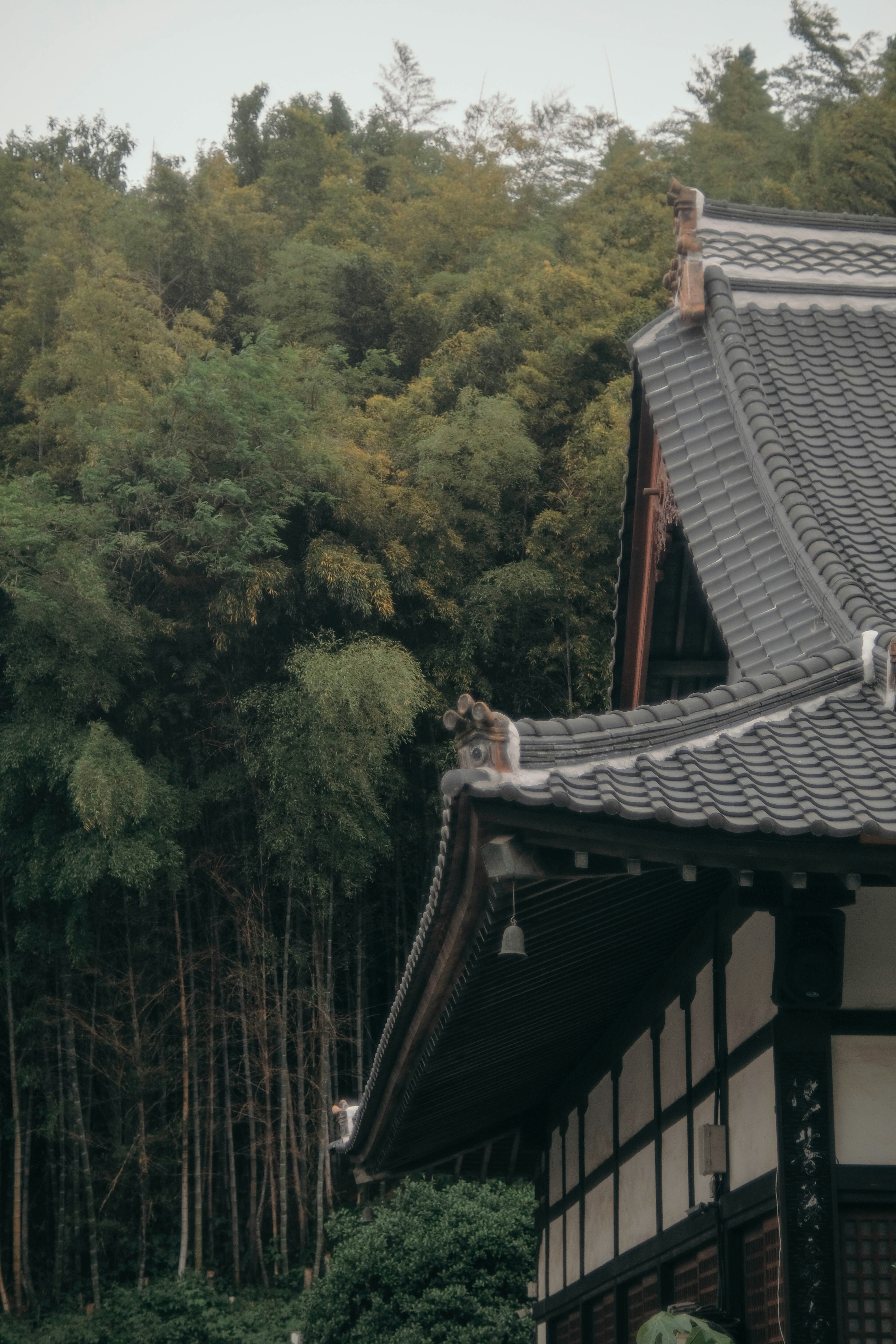 Photo by insungpandora